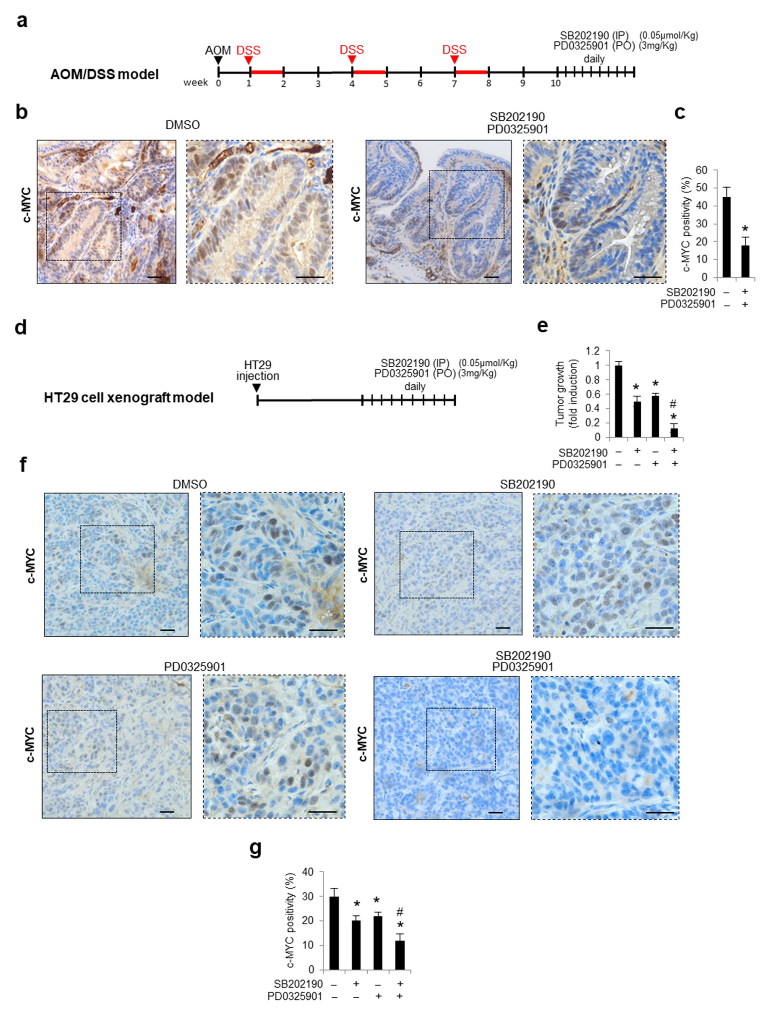 Cancers 14 04840 g006