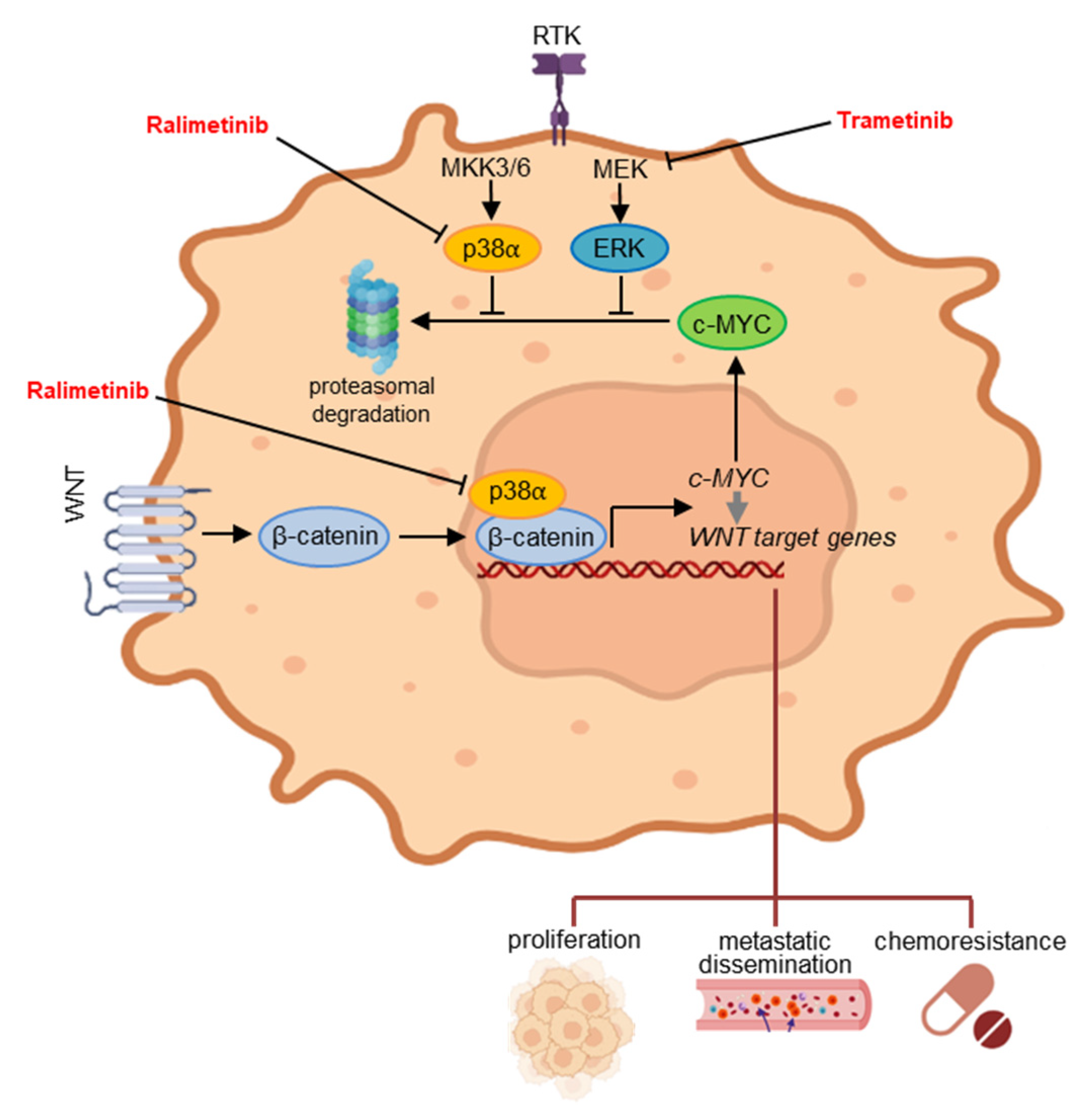 Cancers 14 04840 g008