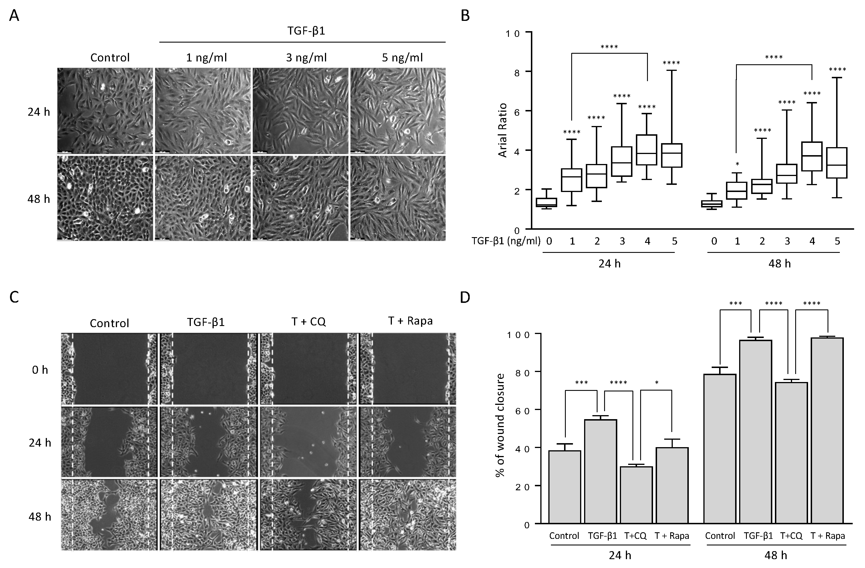 Cancers 14 04845 g001