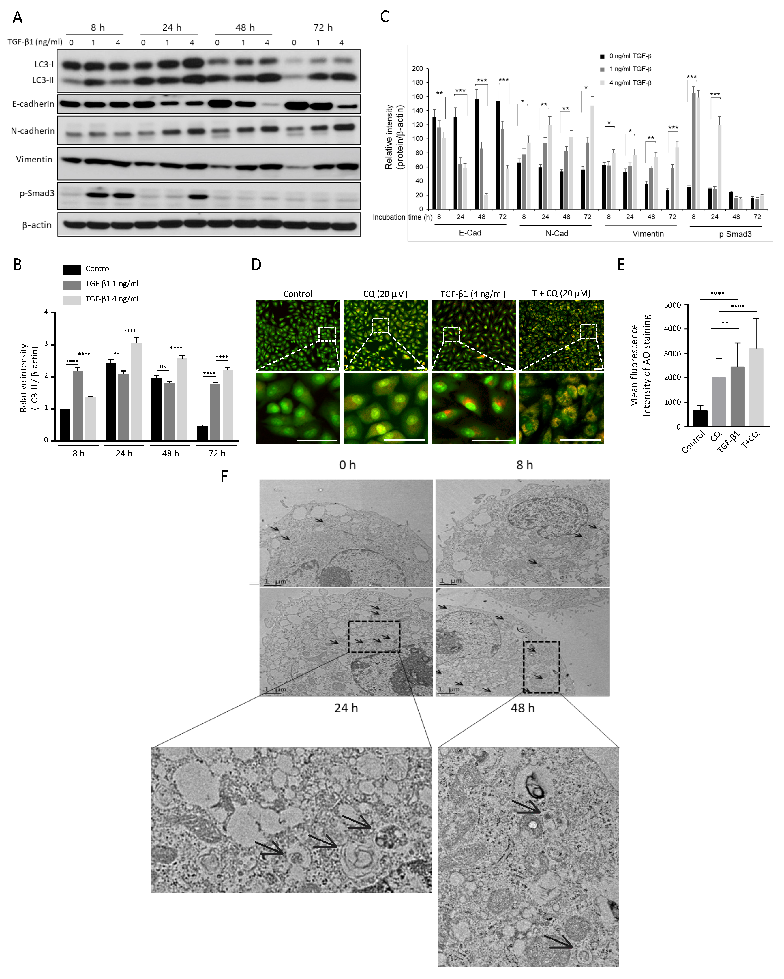Cancers 14 04845 g002