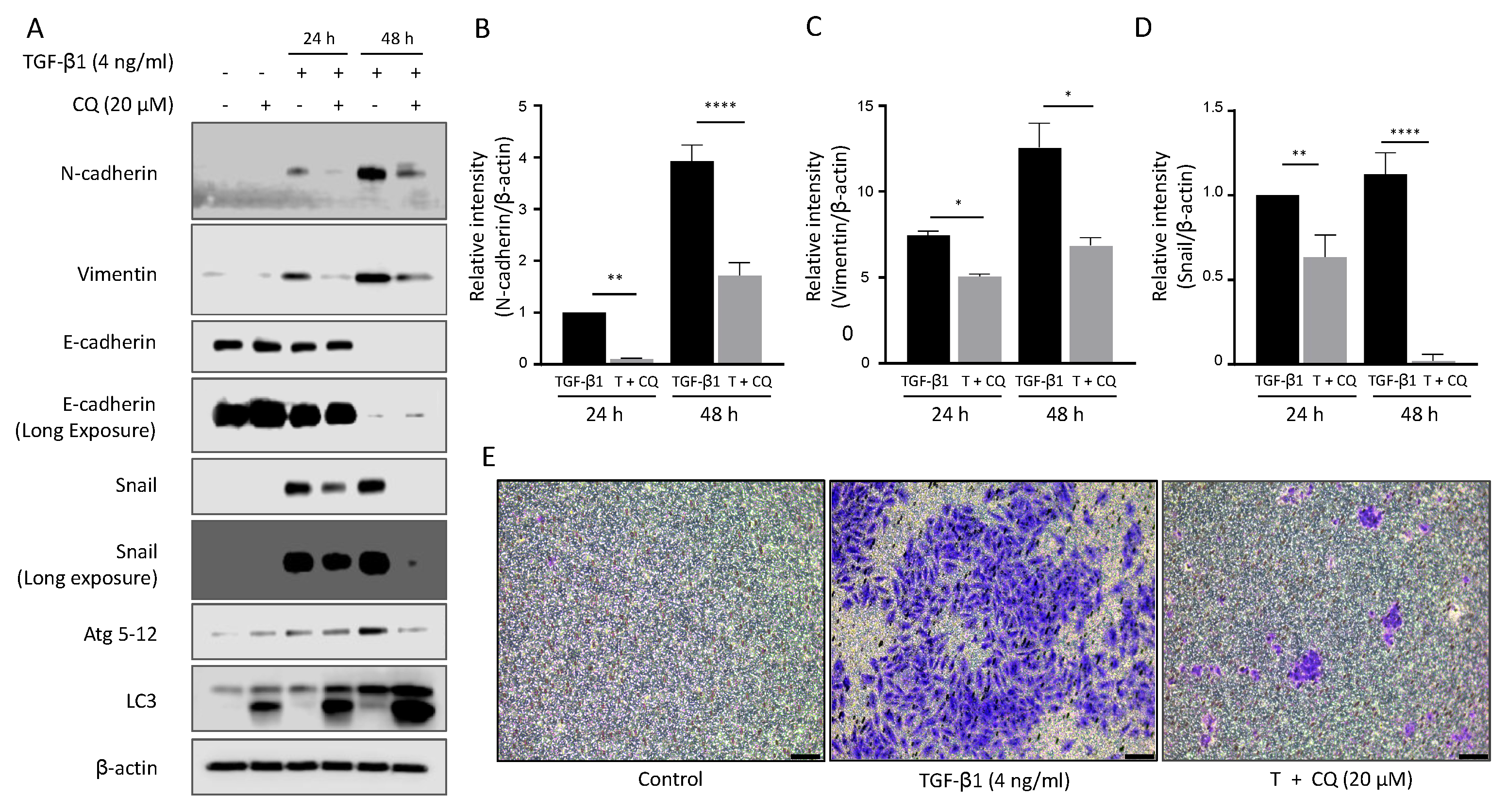 Cancers 14 04845 g003
