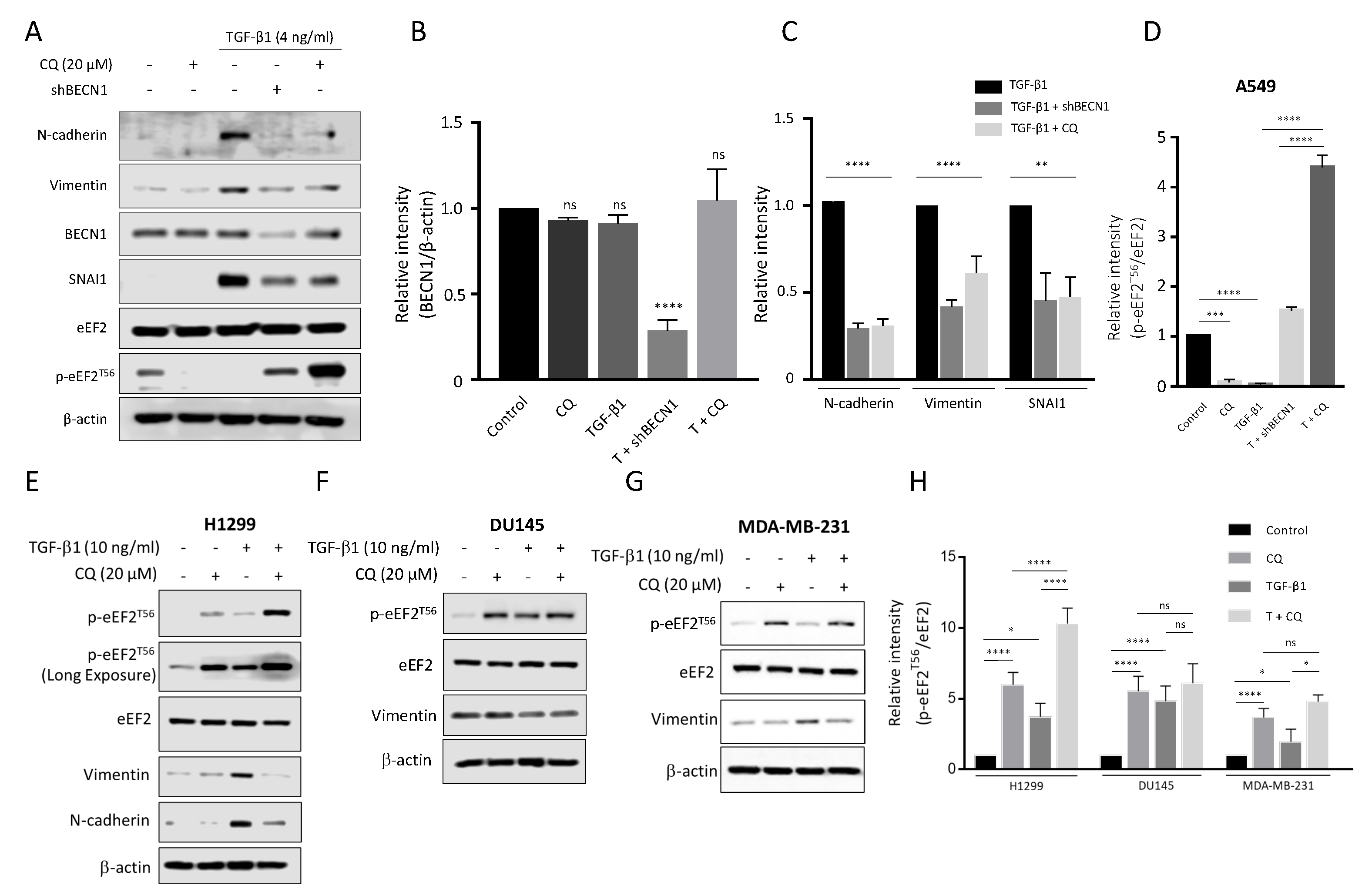 Cancers 14 04845 g004