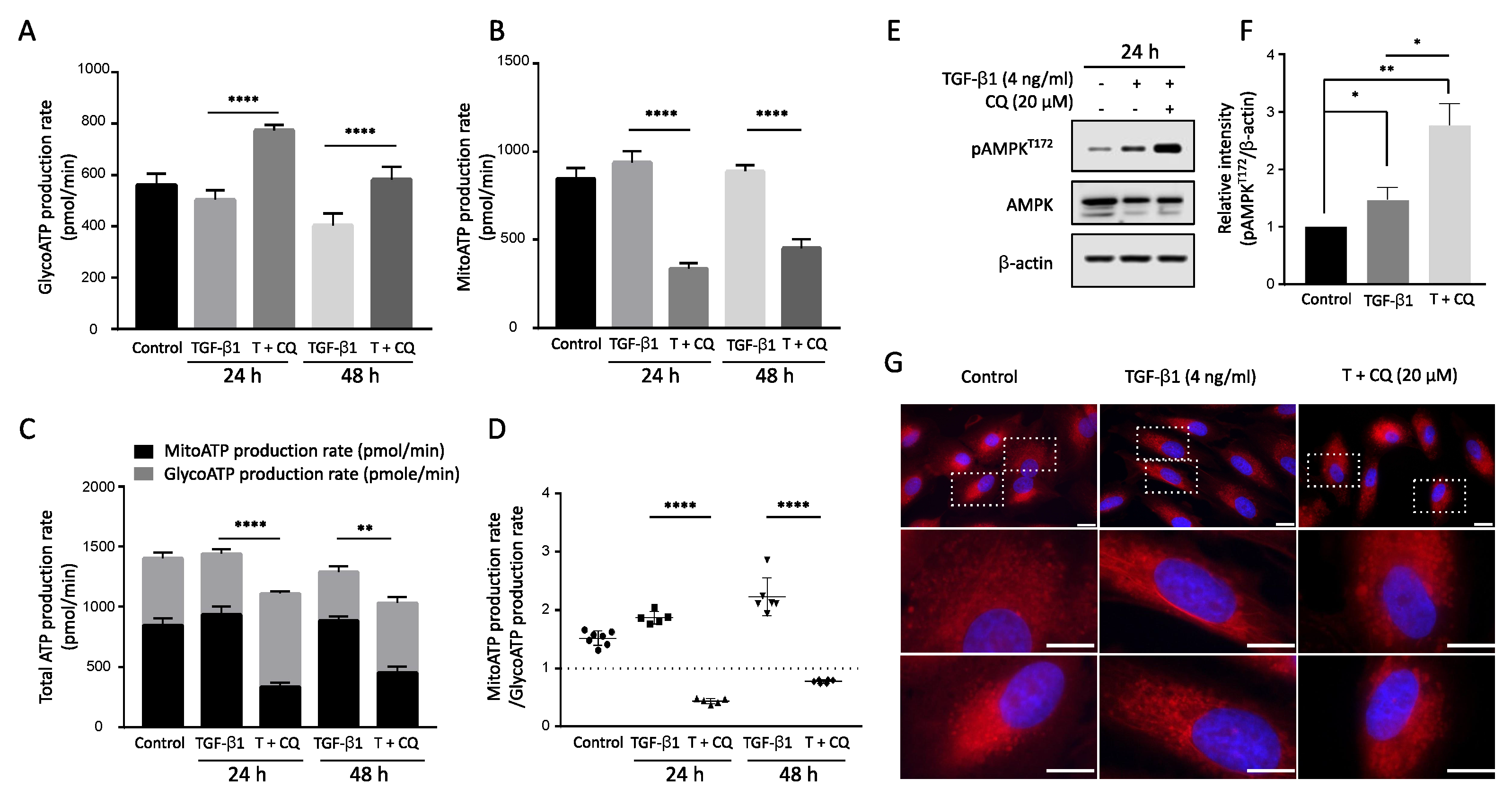 Cancers 14 04845 g006