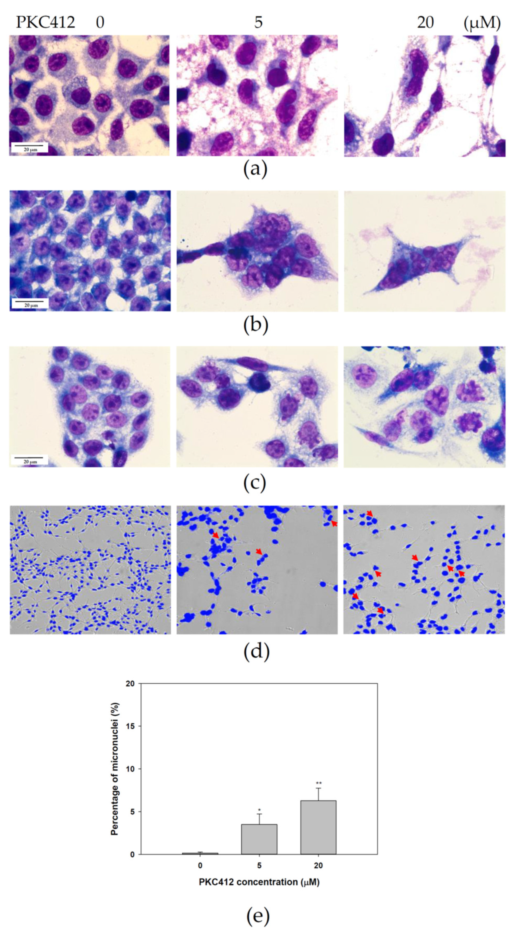 Cancers 14 04847 g003 Cancers 14 04847 g003