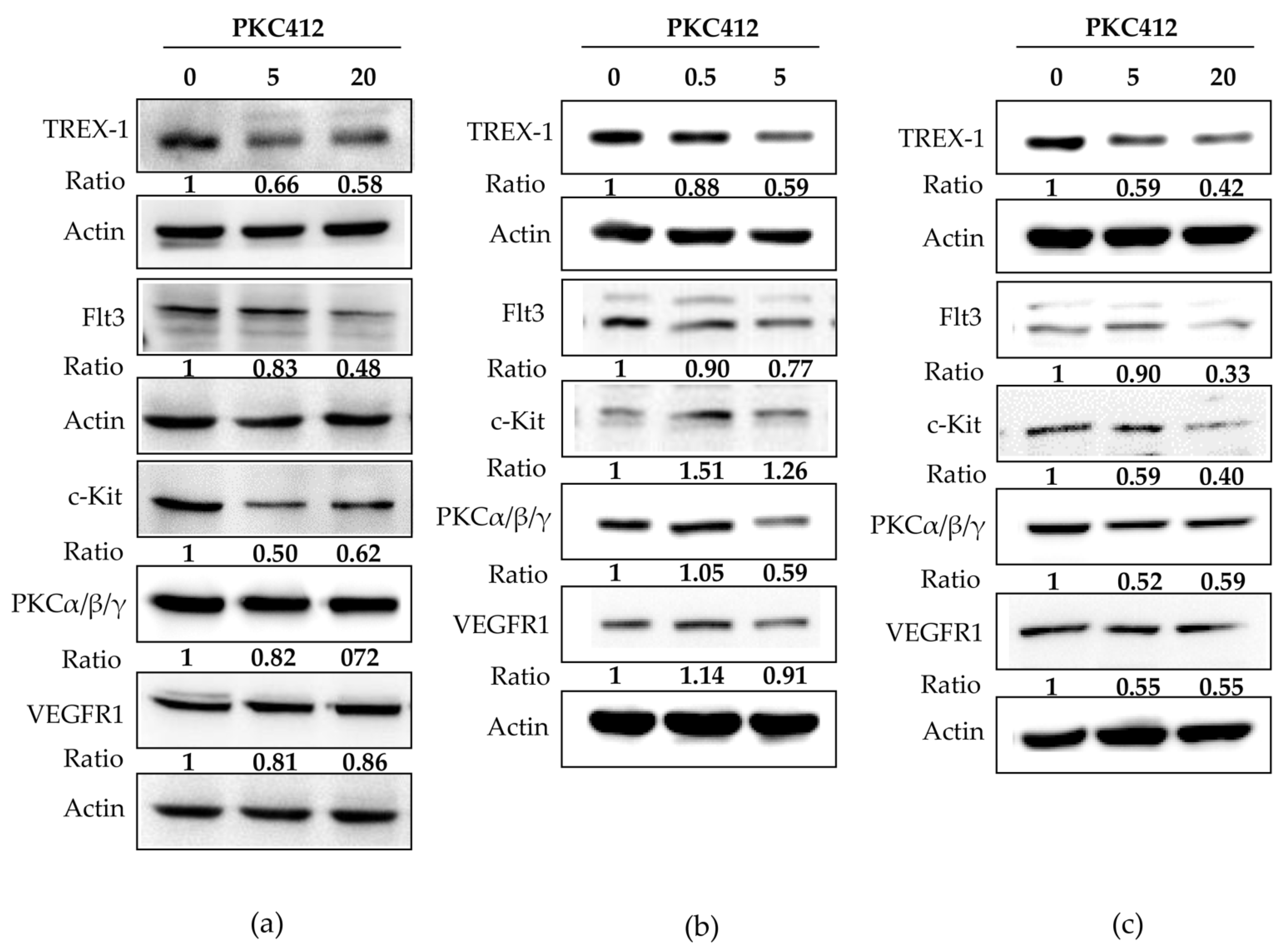 Cancers 14 04847 g006 Cancers 14 04847 g006