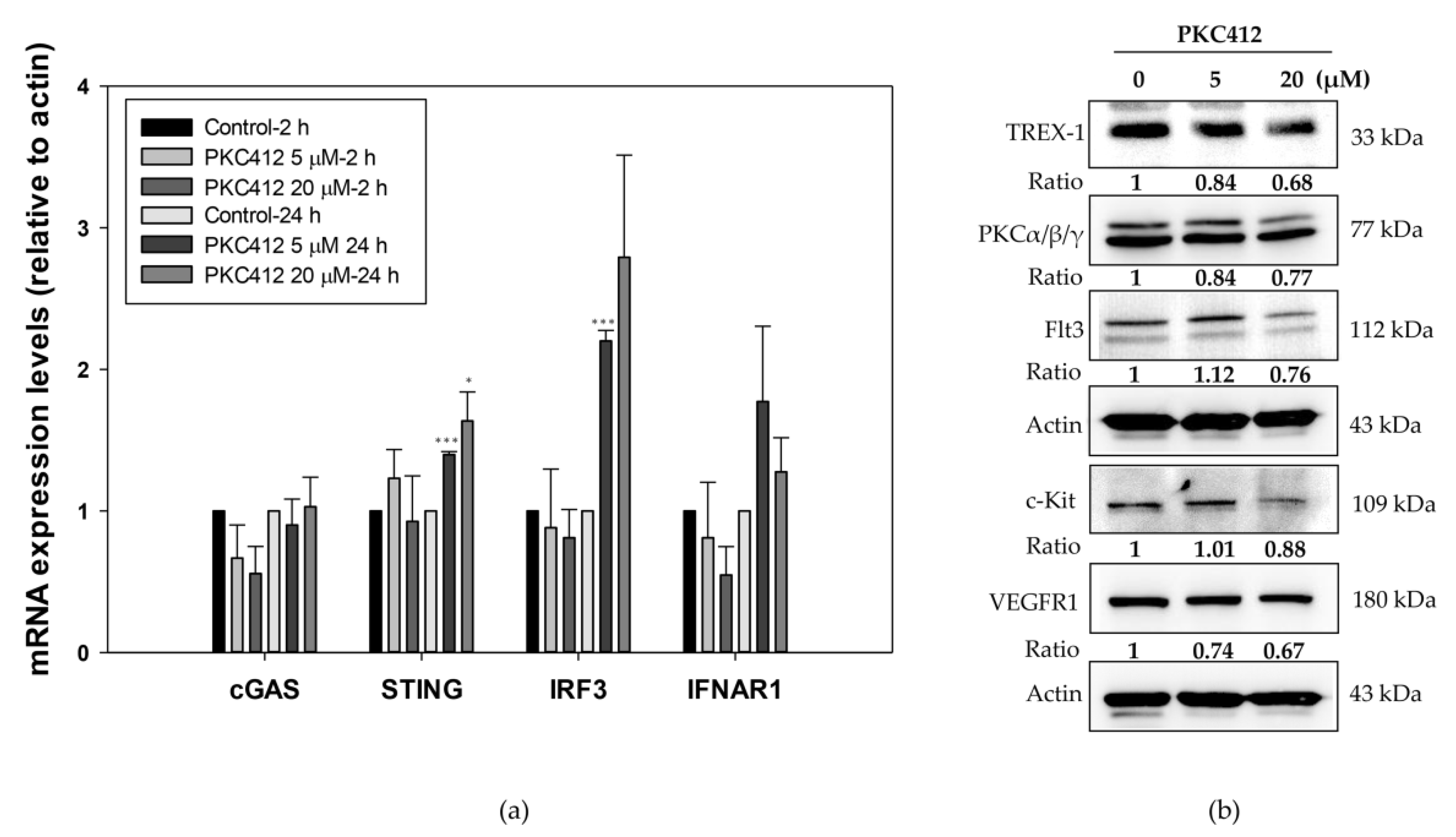 Cancers 14 04847 g008 Cancers 14 04847 g008