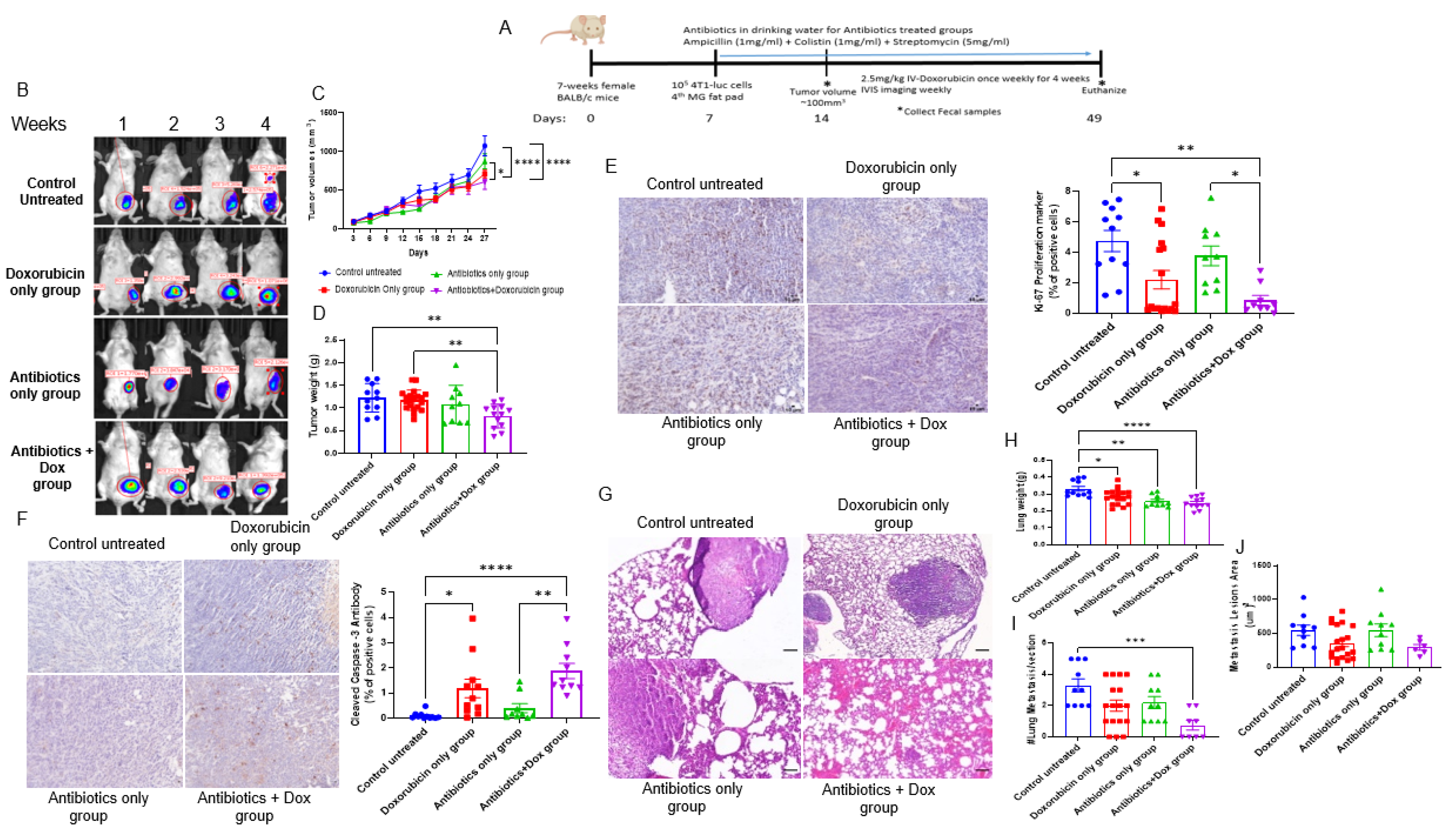 Cancers 14 04849 g001