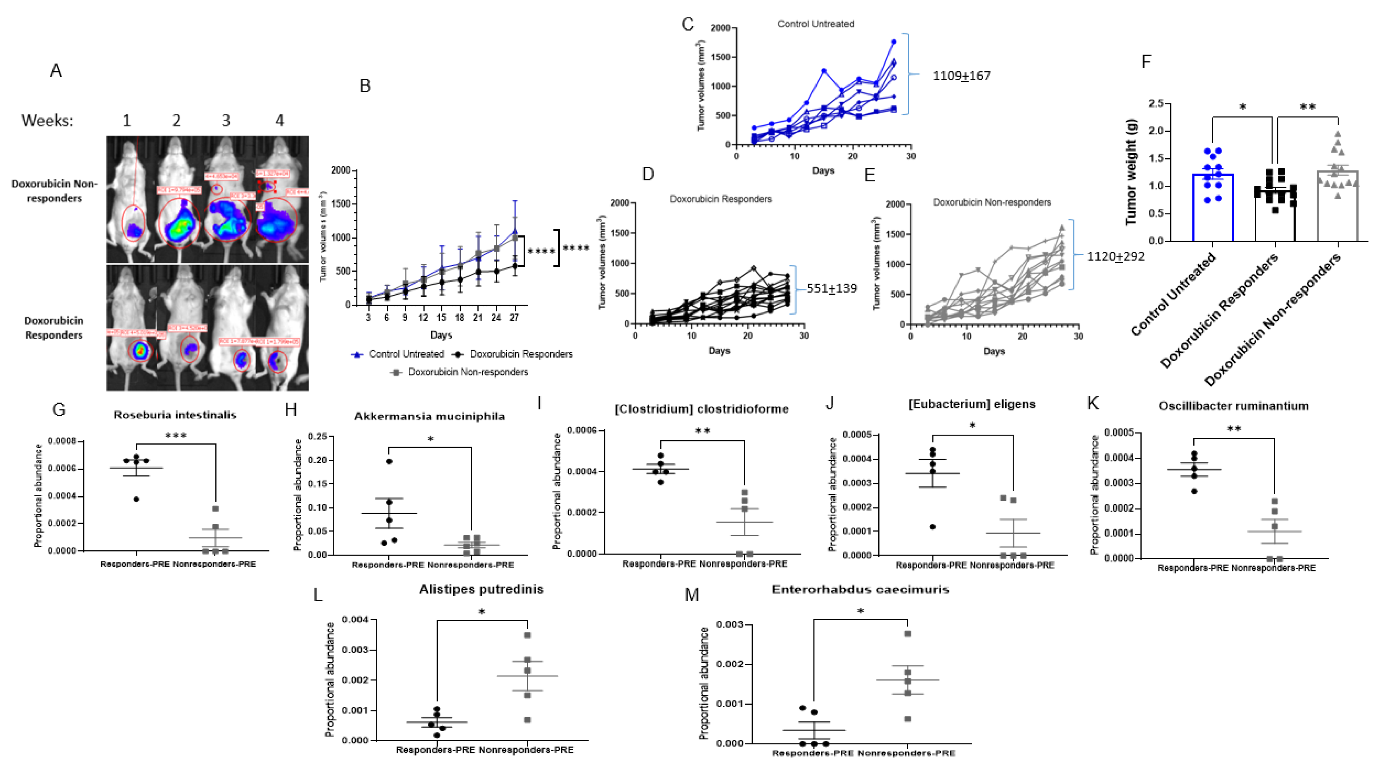 Cancers 14 04849 g003