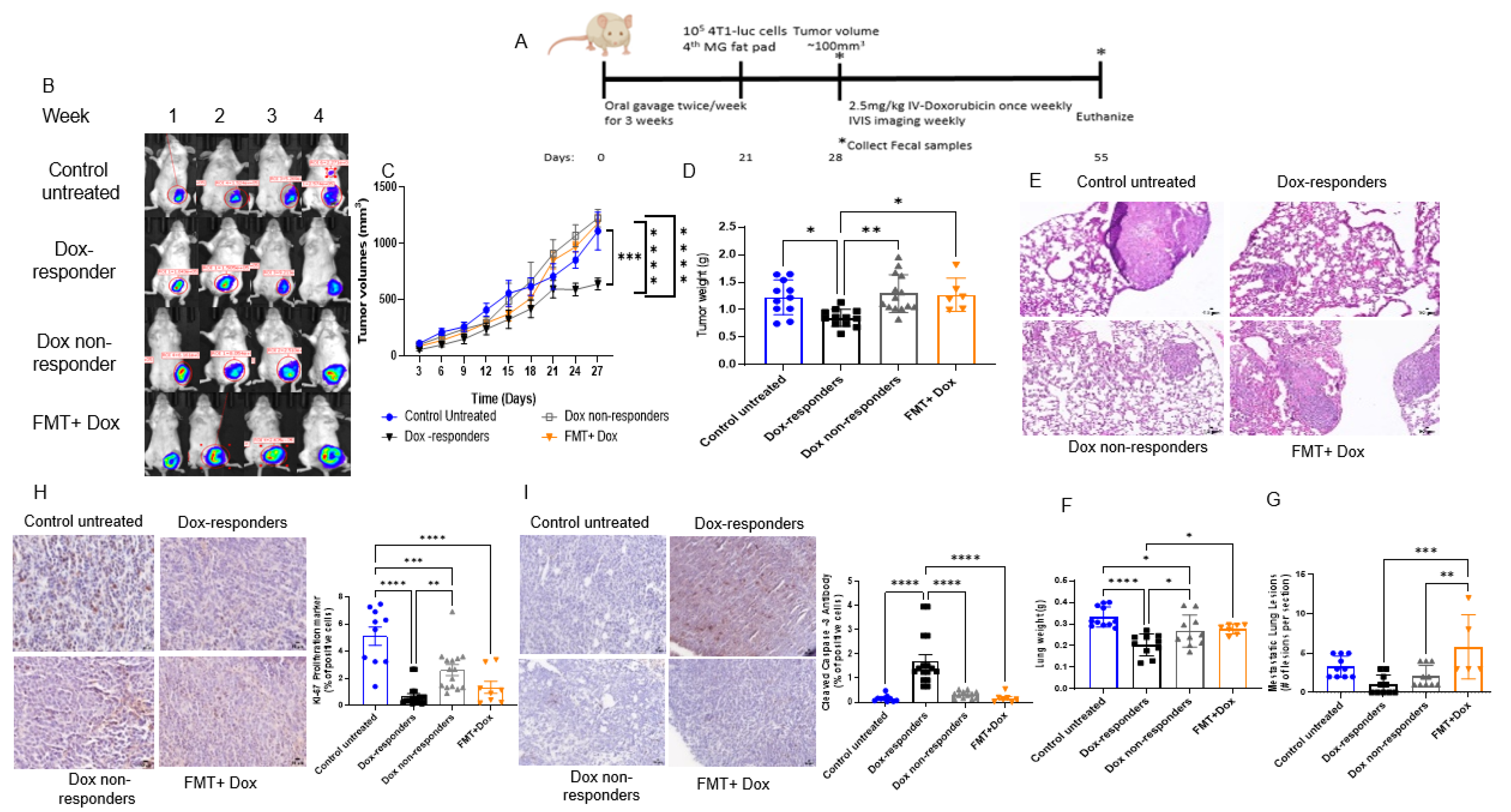 Cancers 14 04849 g004