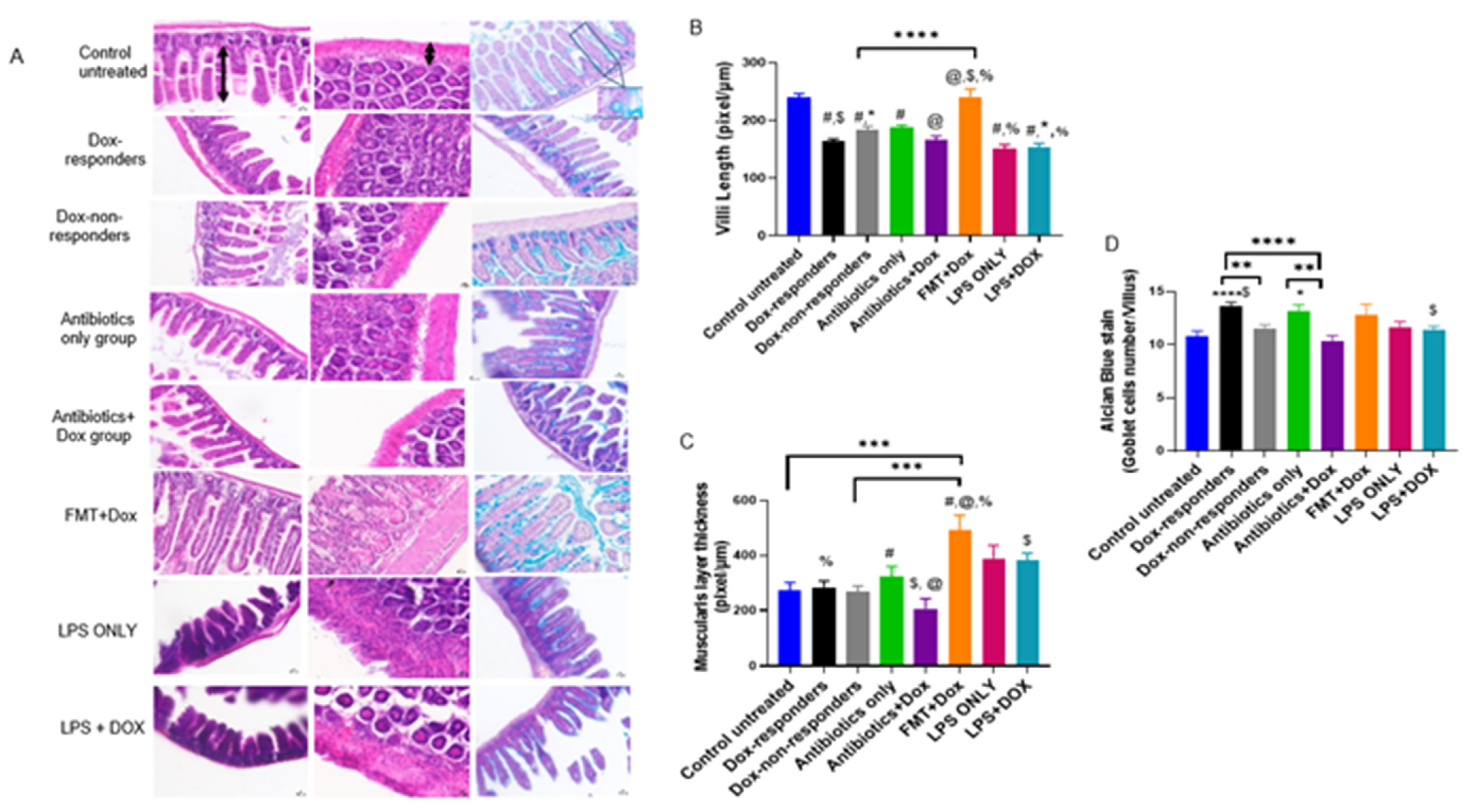 Cancers 14 04849 g006