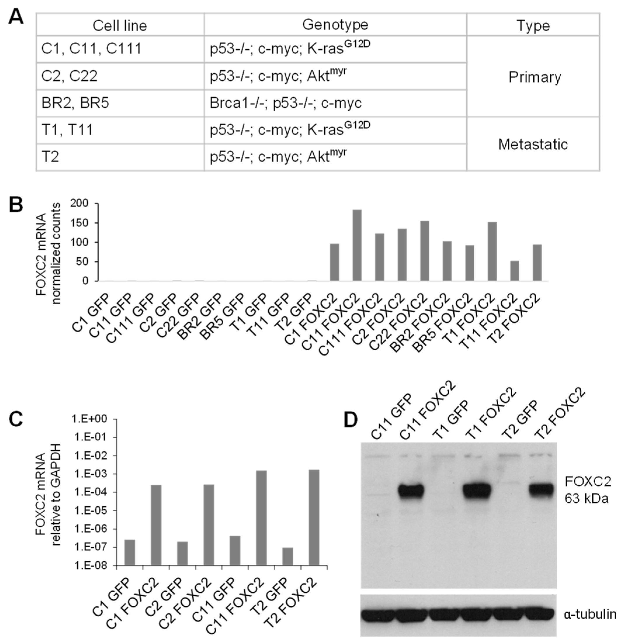 Cancers 14 04851 g001 Cancers 14 04851 g001