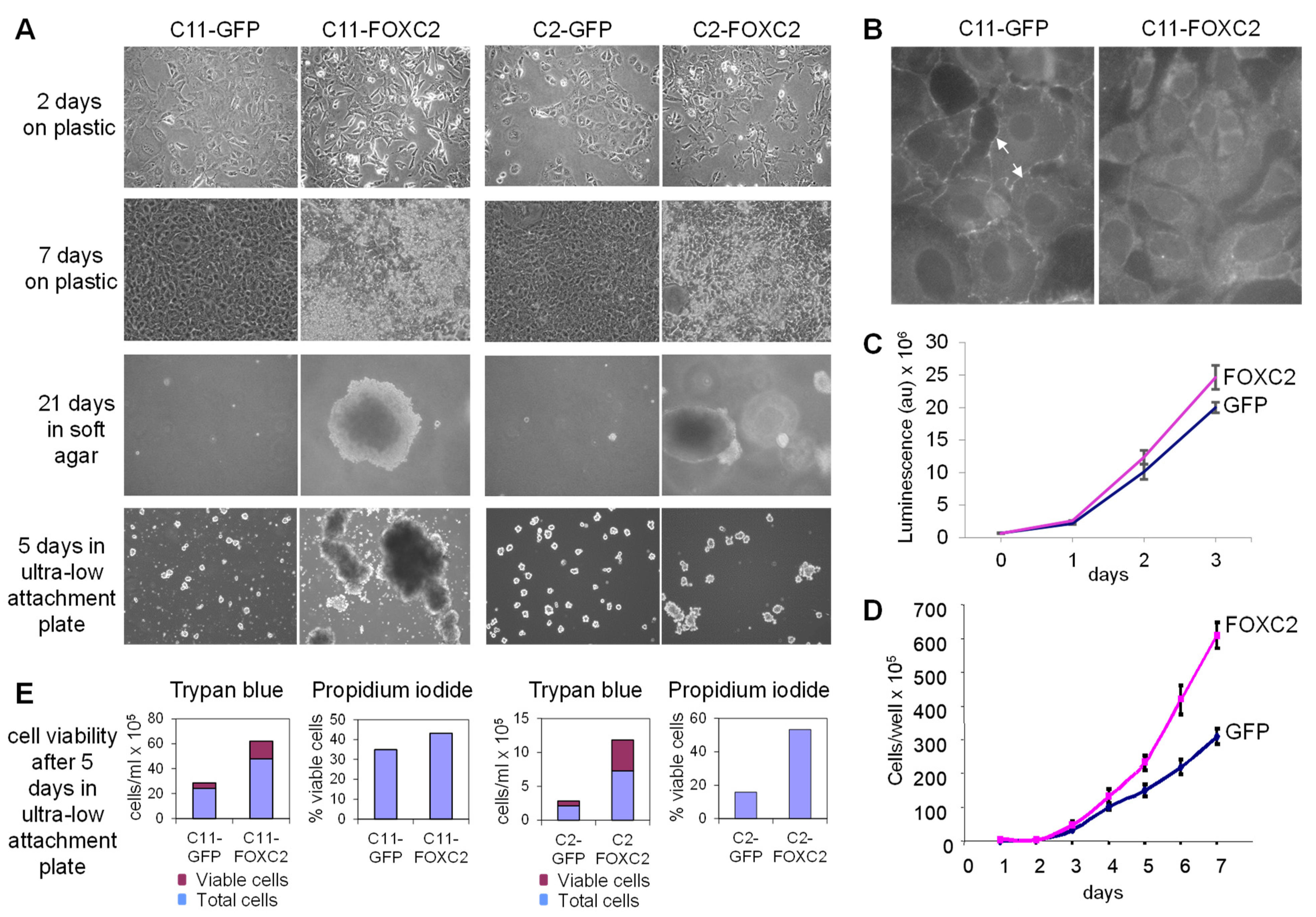 Cancers 14 04851 g002 Cancers 14 04851 g002