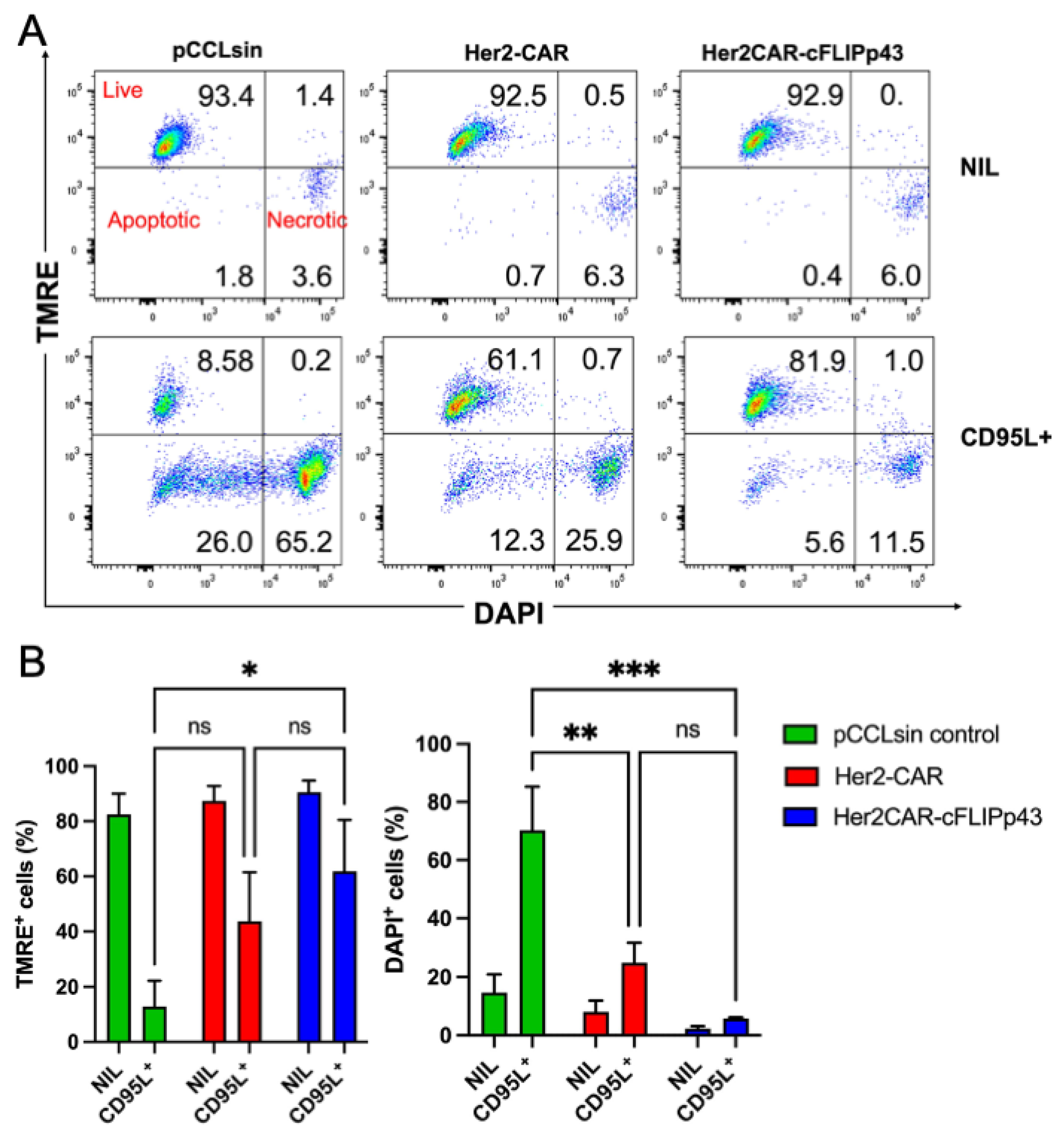 Cancers 14 04854 g003