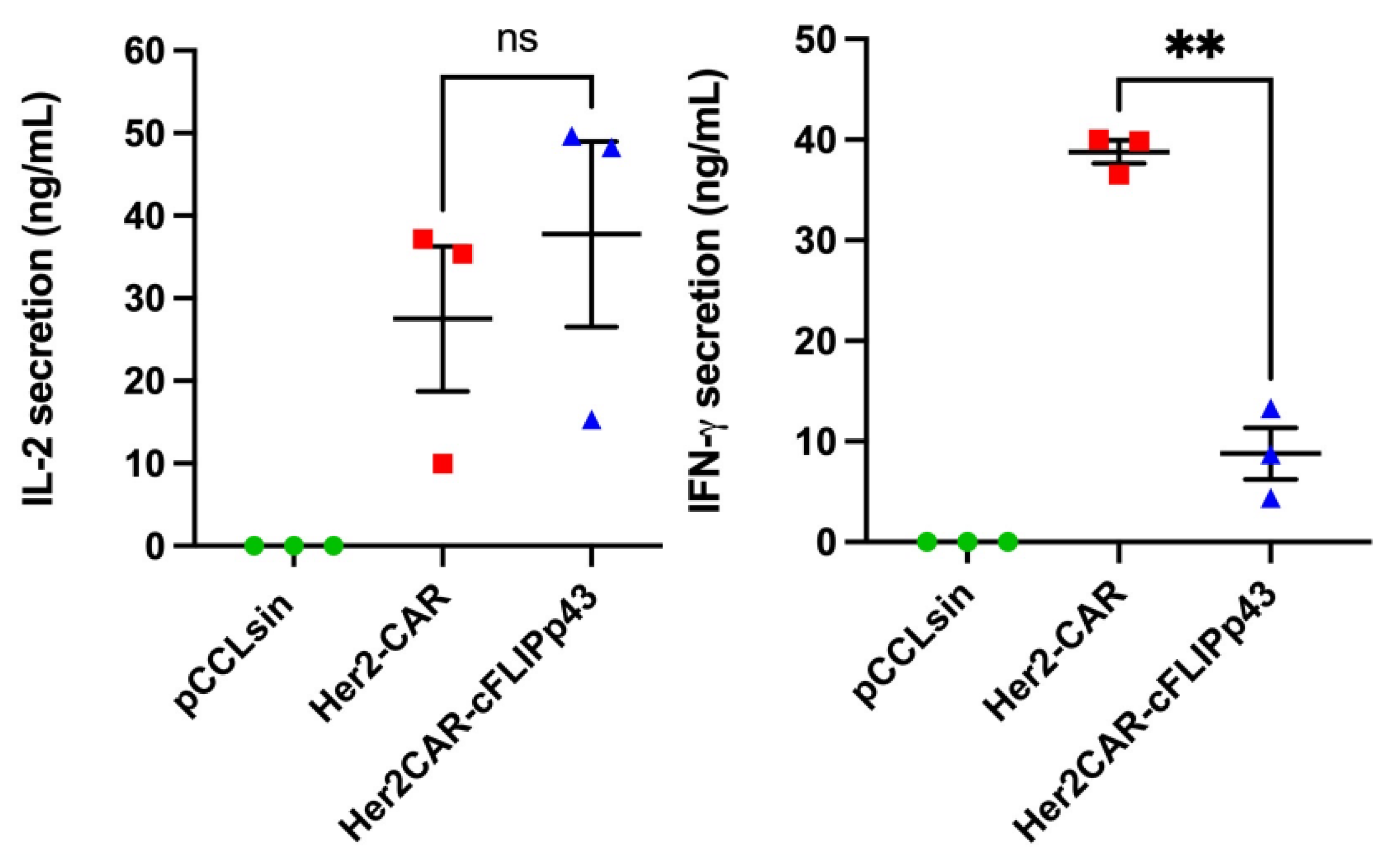 Cancers 14 04854 g004