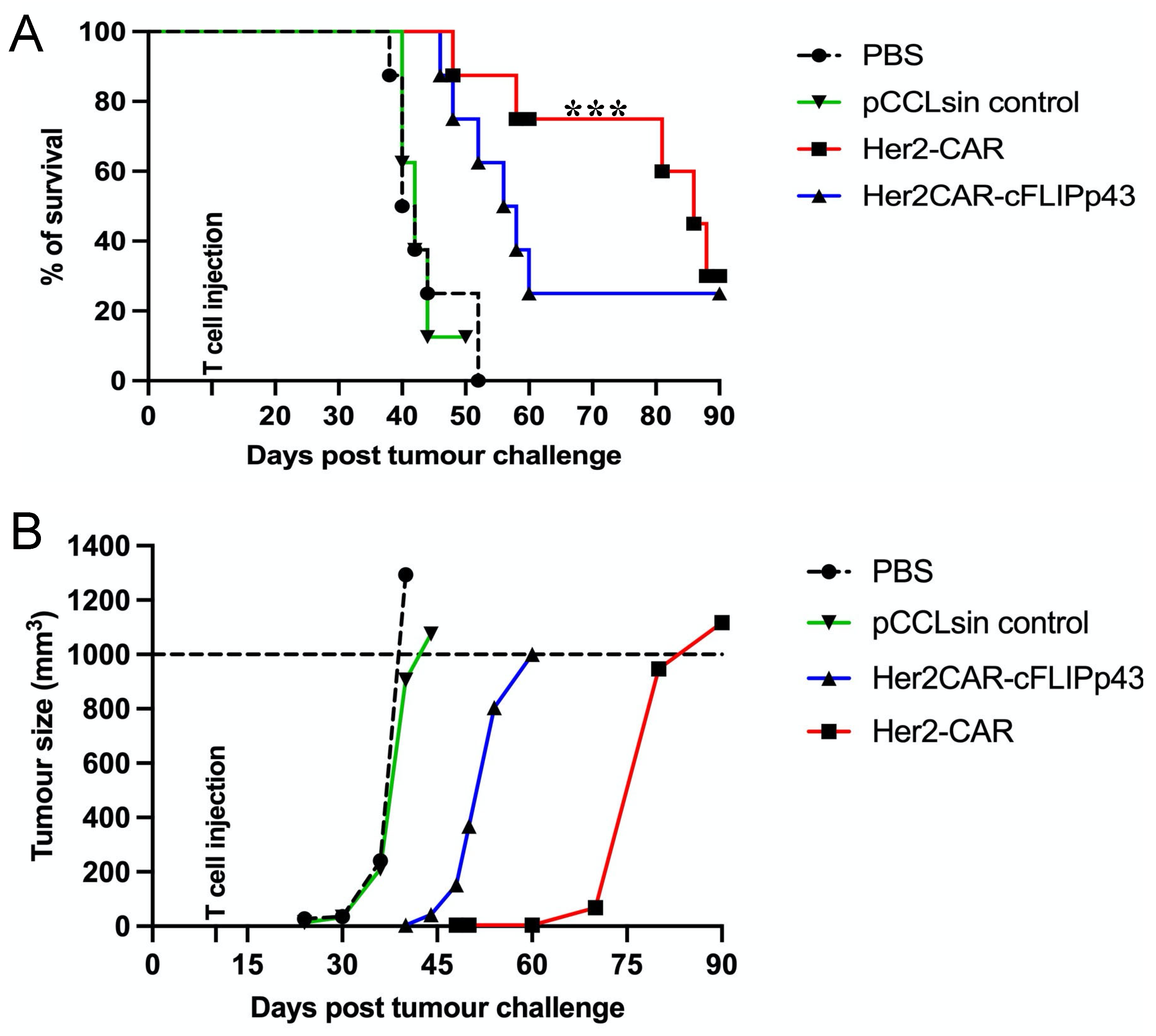 Cancers 14 04854 g005