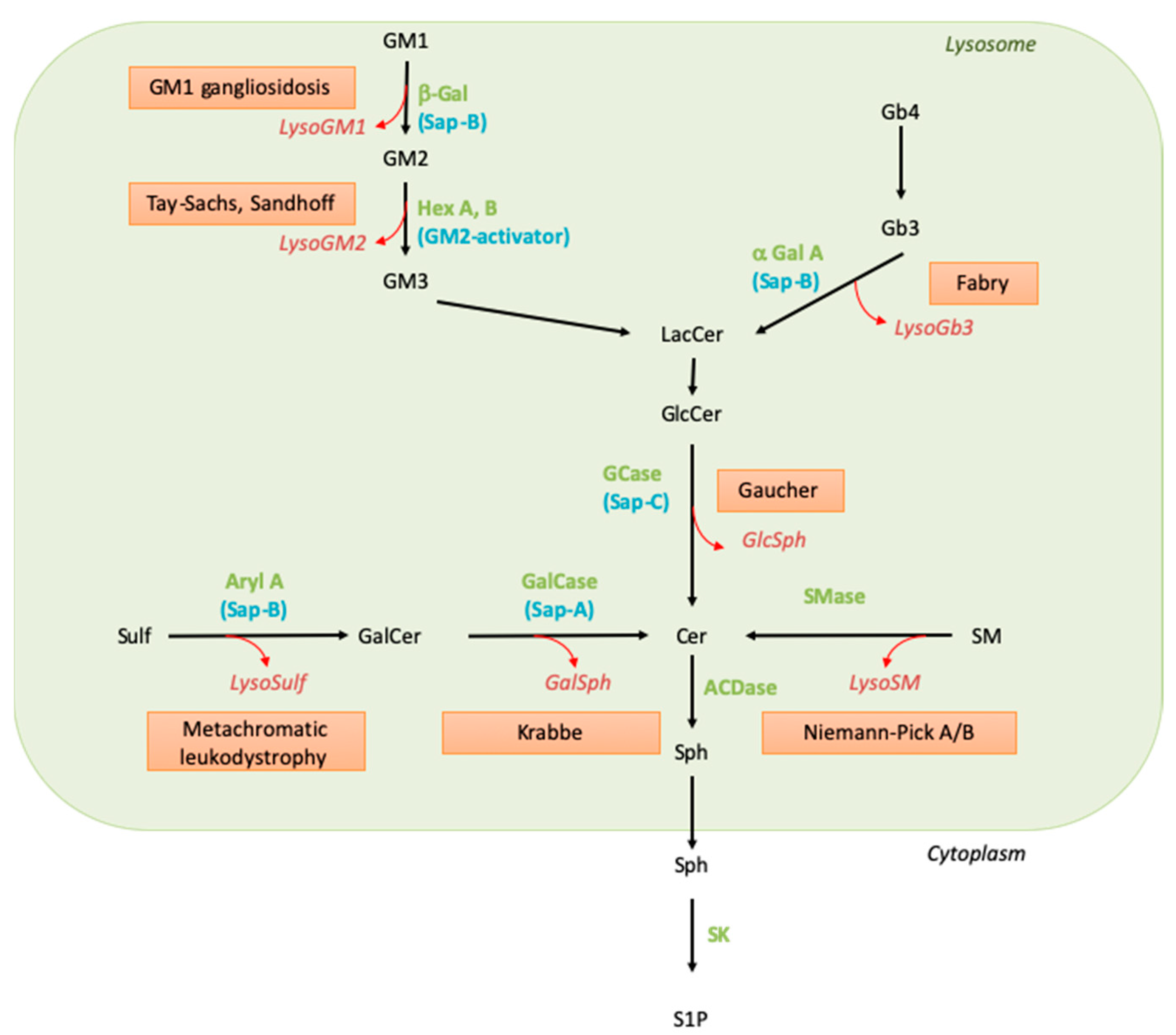 Cancers 14 04858 g001