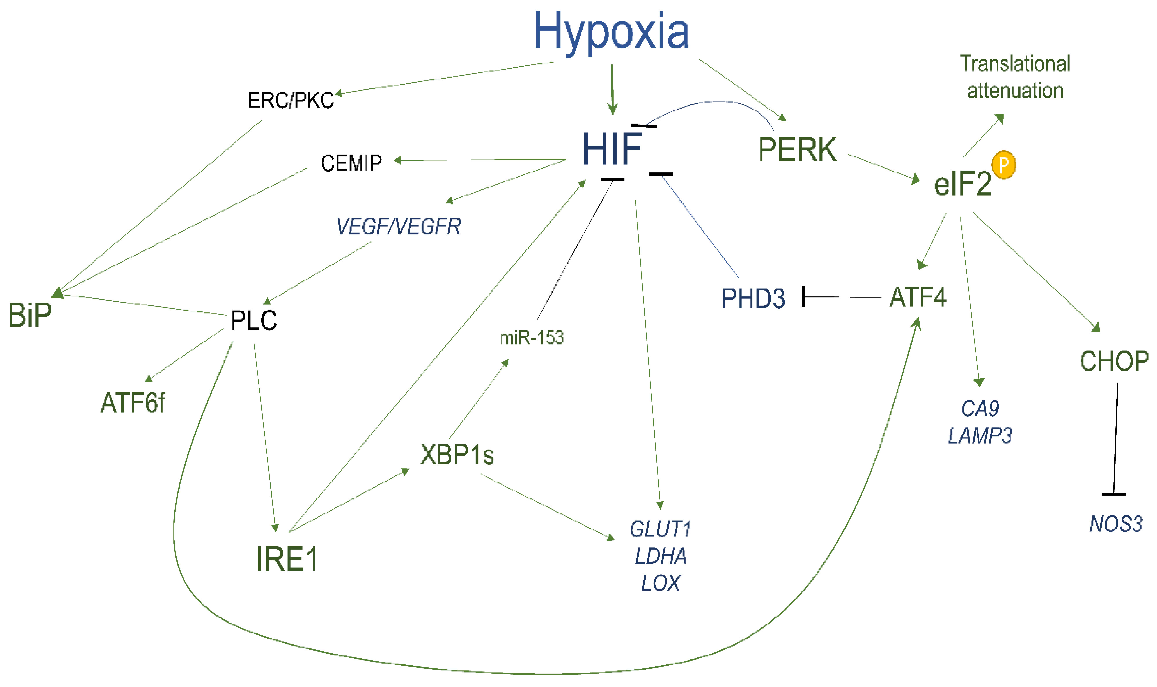 Cancers 14 04870 g002