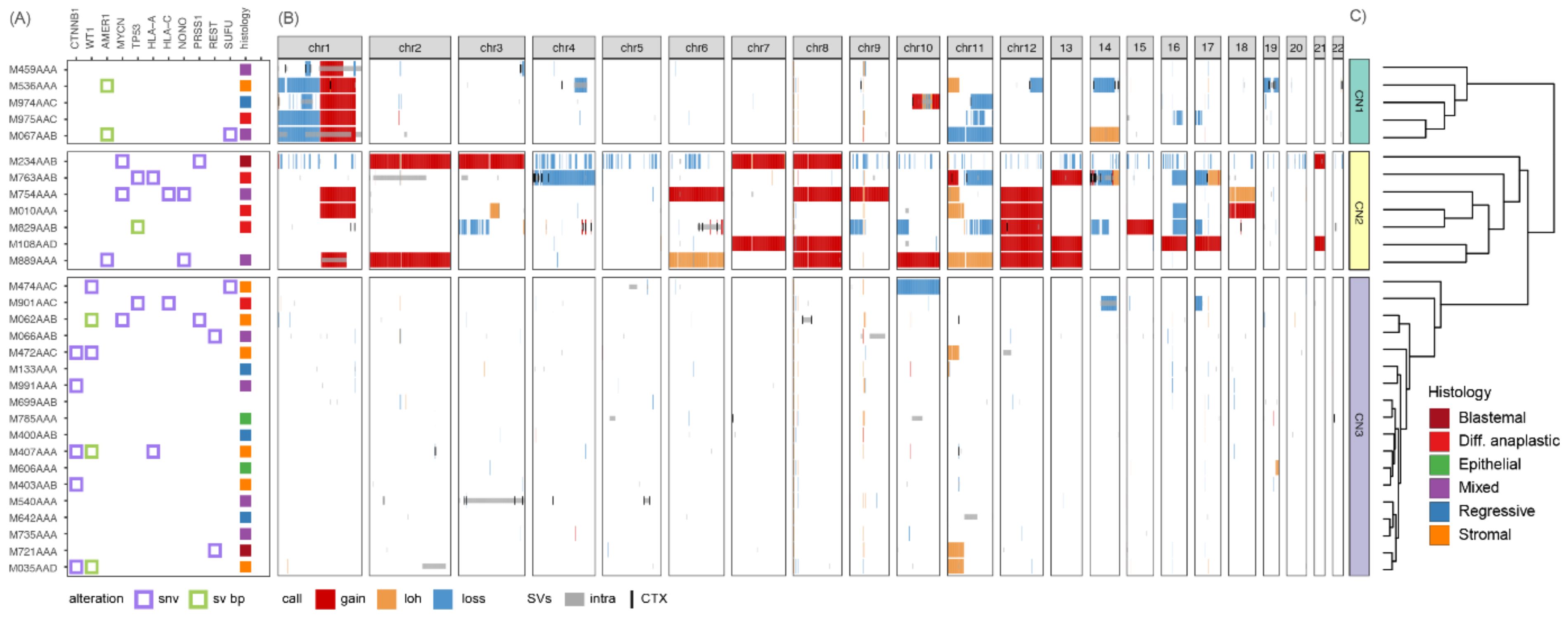 Cancers 14 04872 g001 Cancers 14 04872 g001