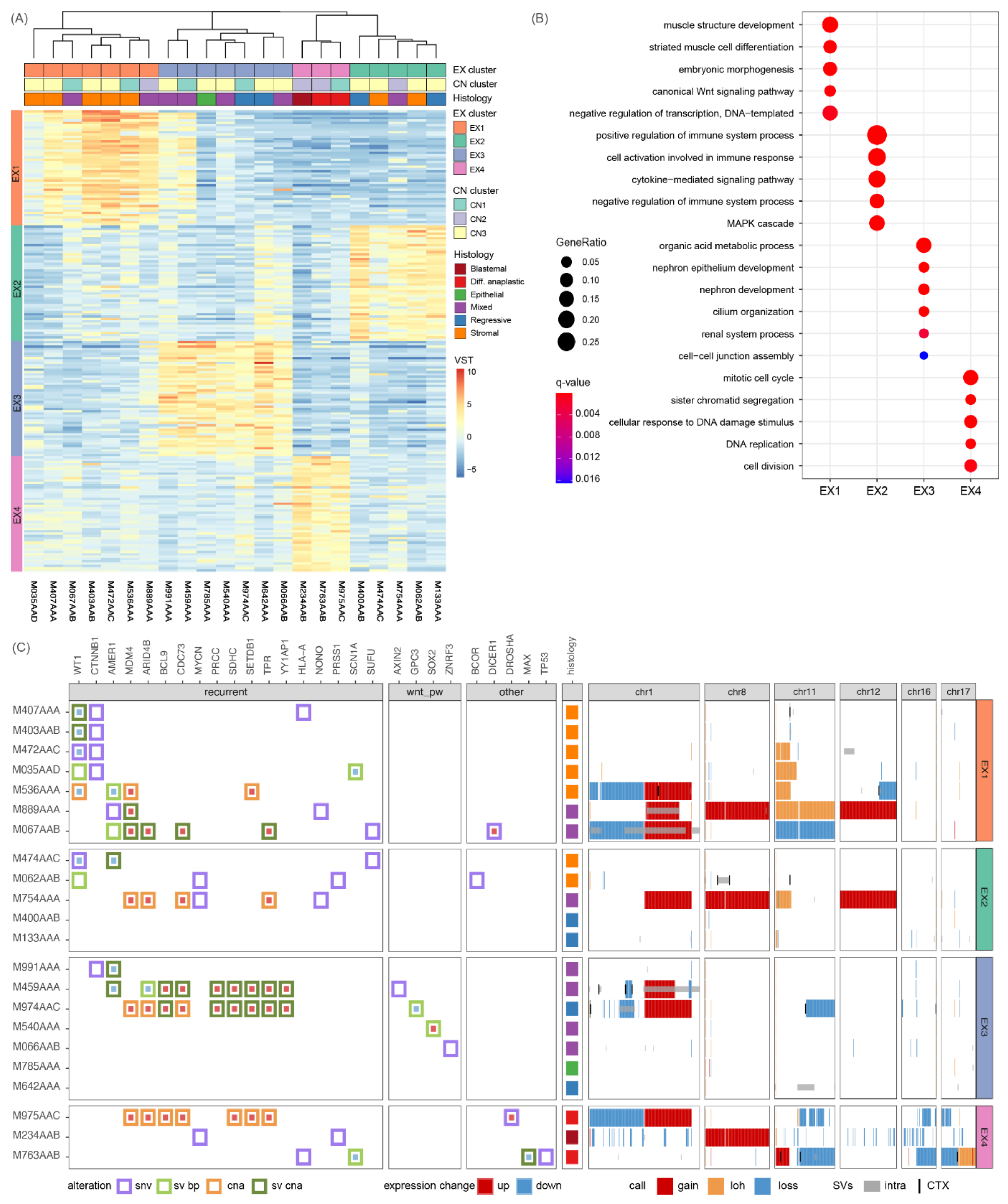 Cancers 14 04872 g002 Cancers 14 04872 g002