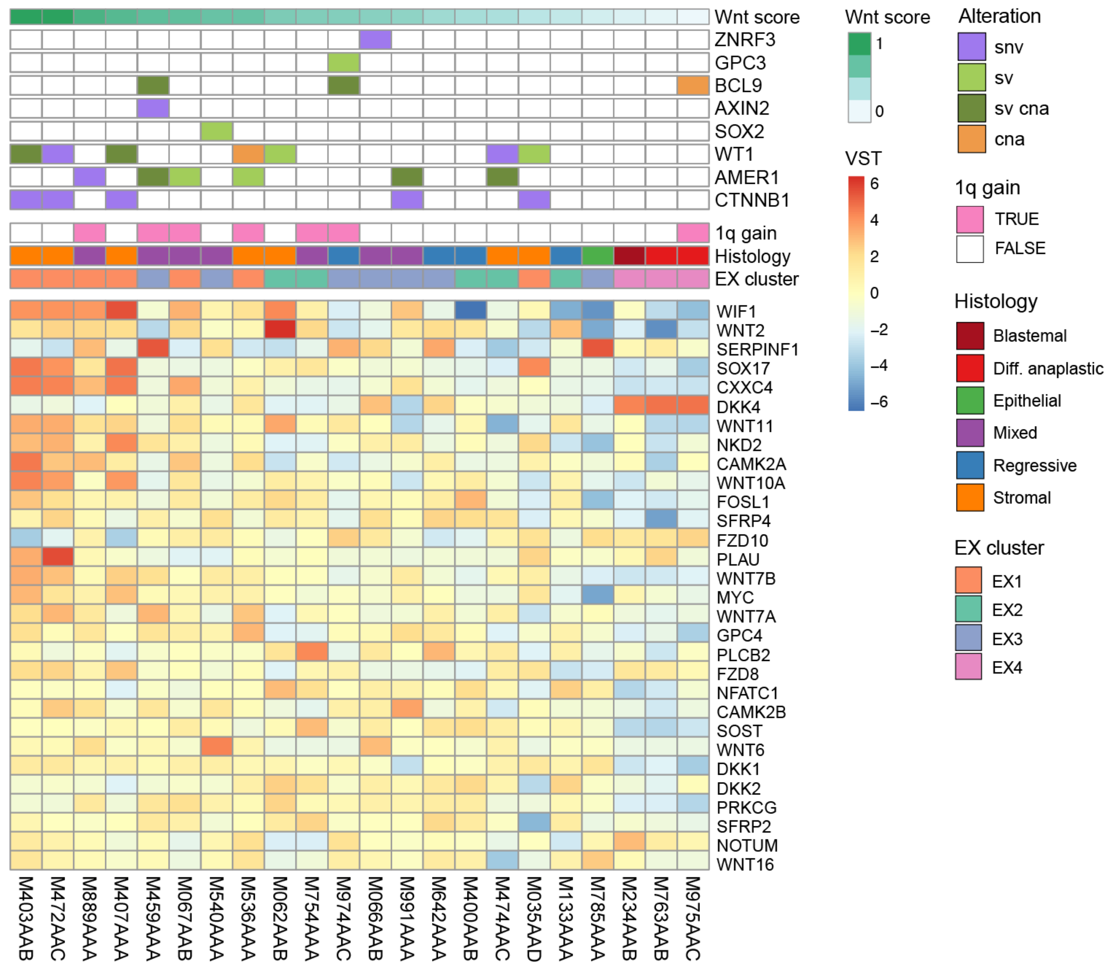 Cancers 14 04872 g003 Cancers 14 04872 g003