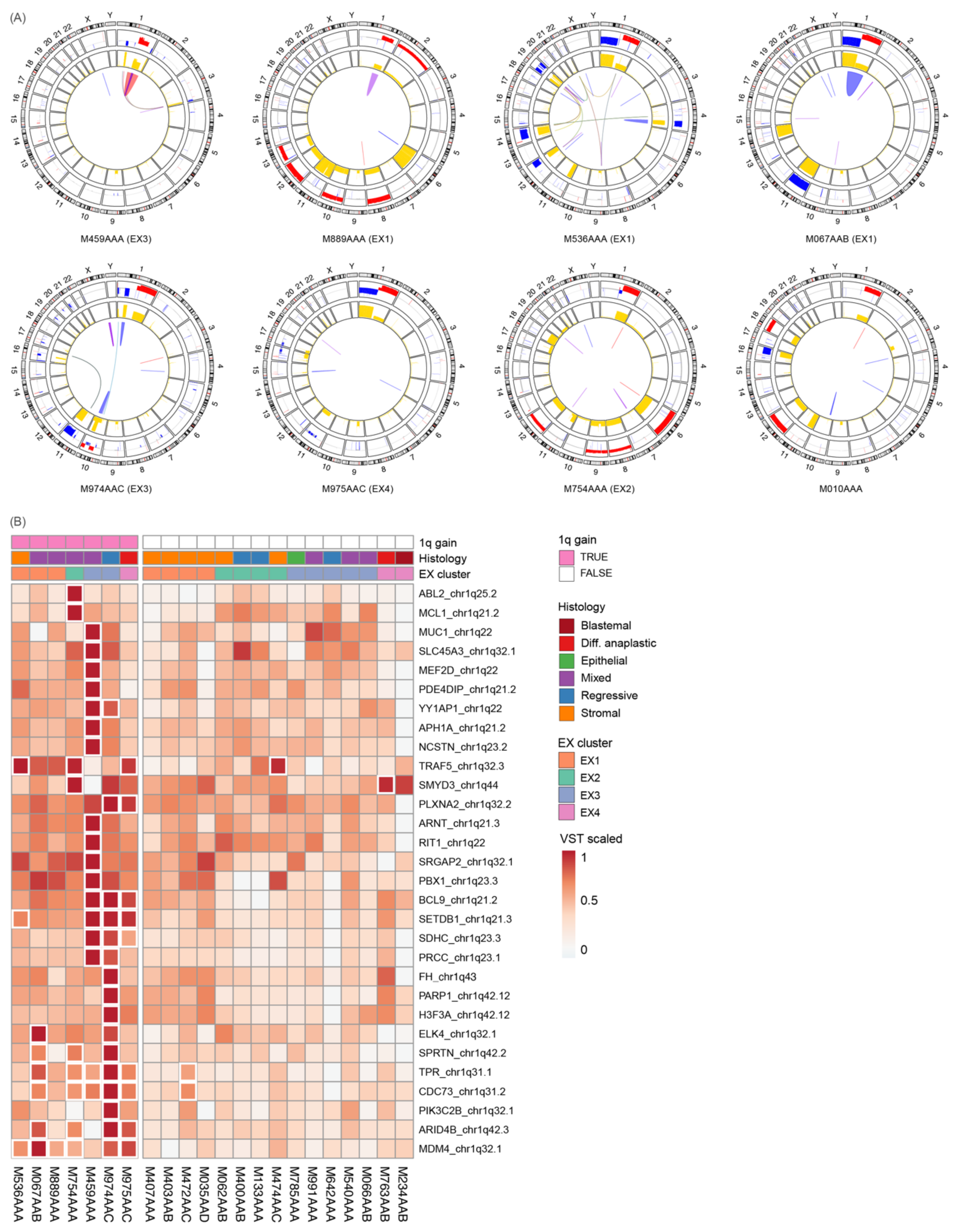 Cancers 14 04872 g005 Cancers 14 04872 g005
