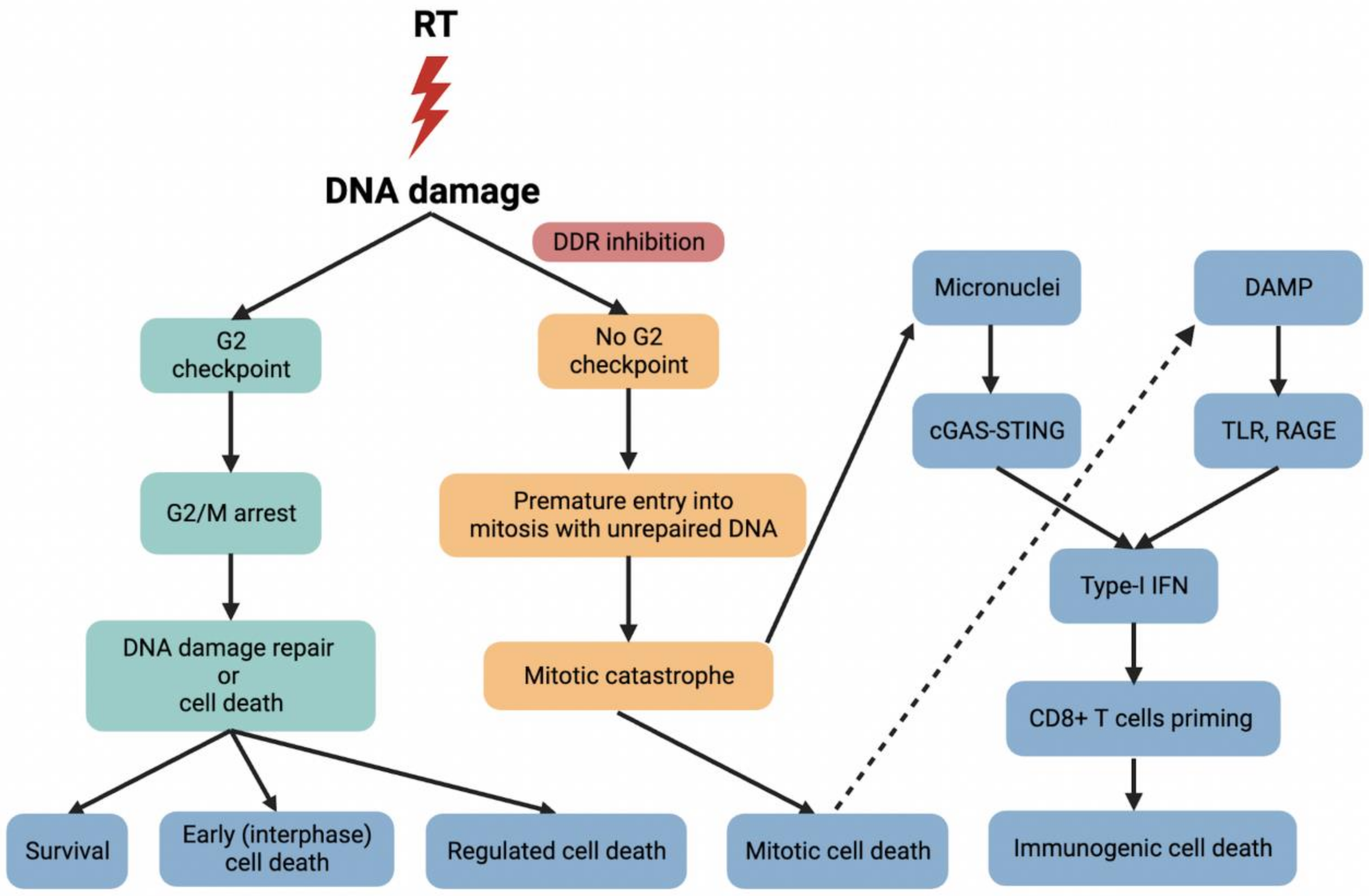 Cancers 14 04874 g002 Cancers 14 04874 g002