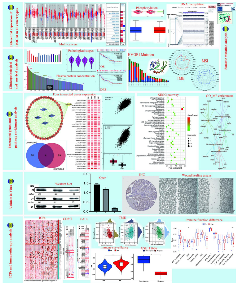 Cancers 14 04875 g001