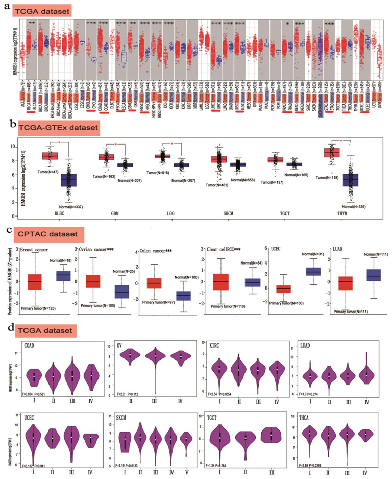 Cancers 14 04875 g002