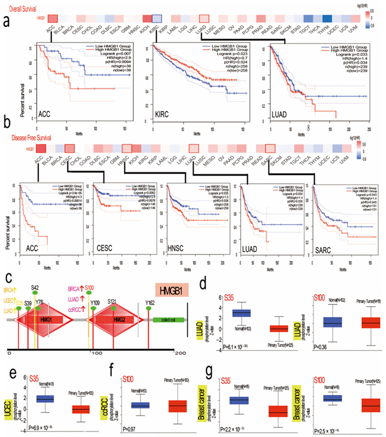 Cancers 14 04875 g003