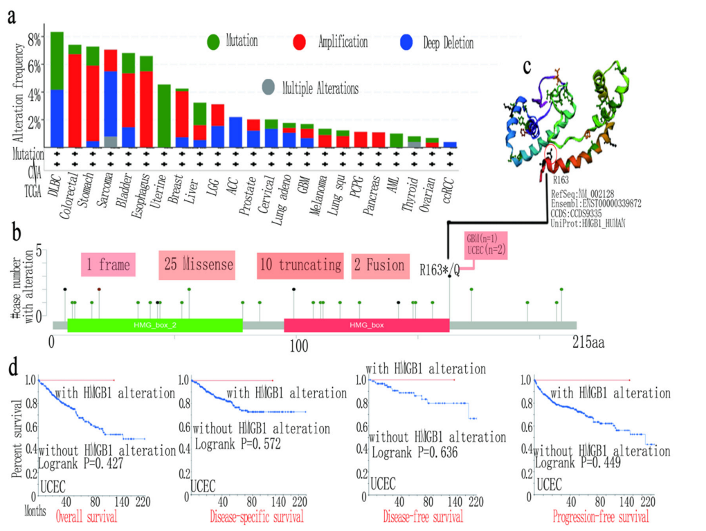 Cancers 14 04875 g004