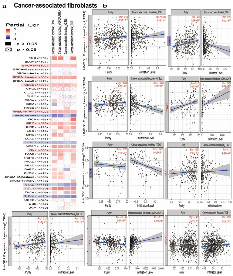 Cancers 14 04875 g005