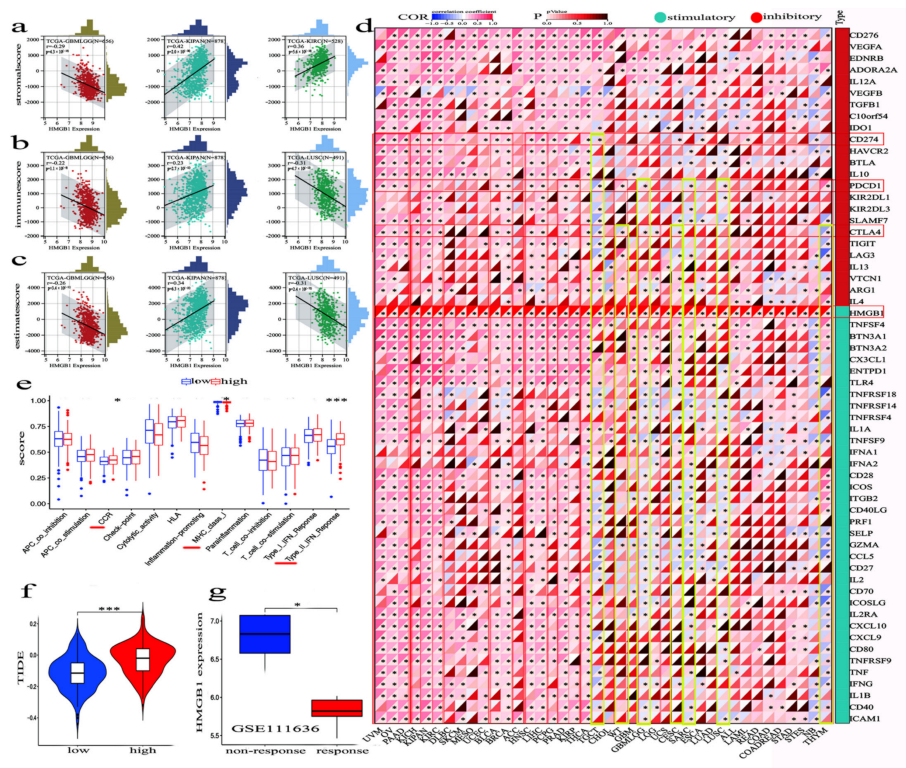 Cancers 14 04875 g006