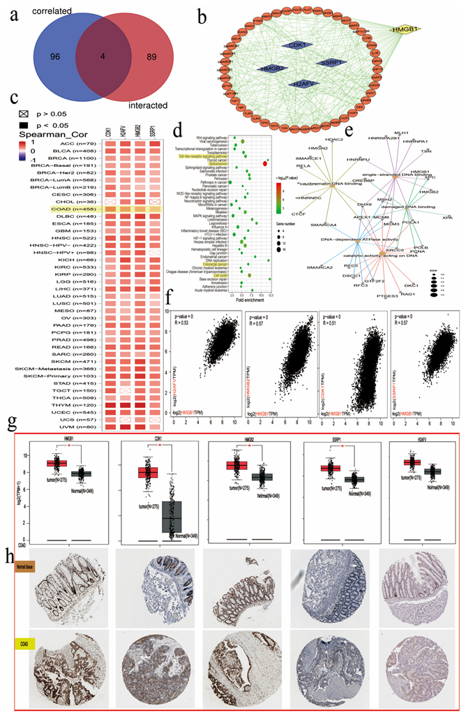 Cancers 14 04875 g007