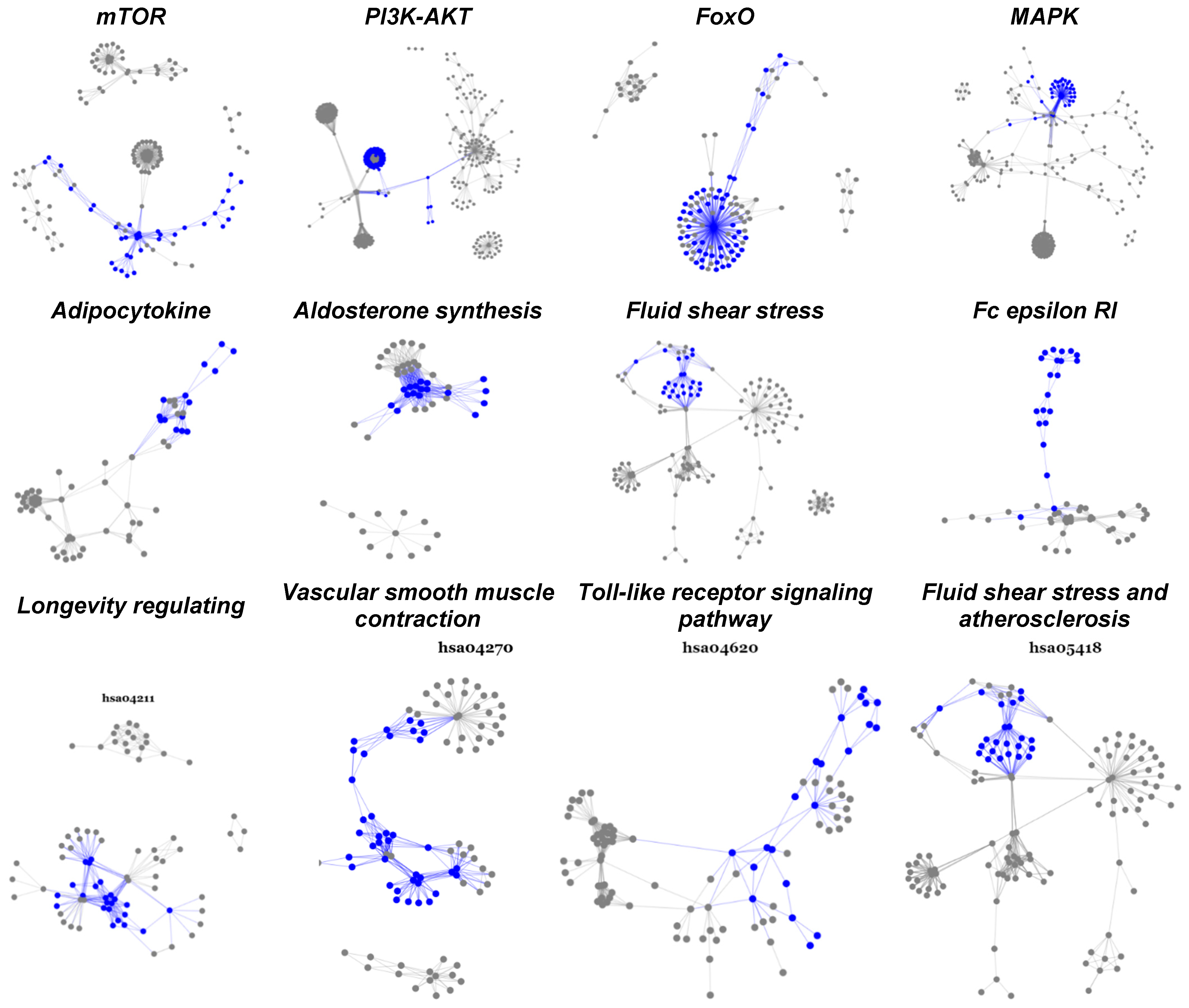 Cancers 14 04878 g003