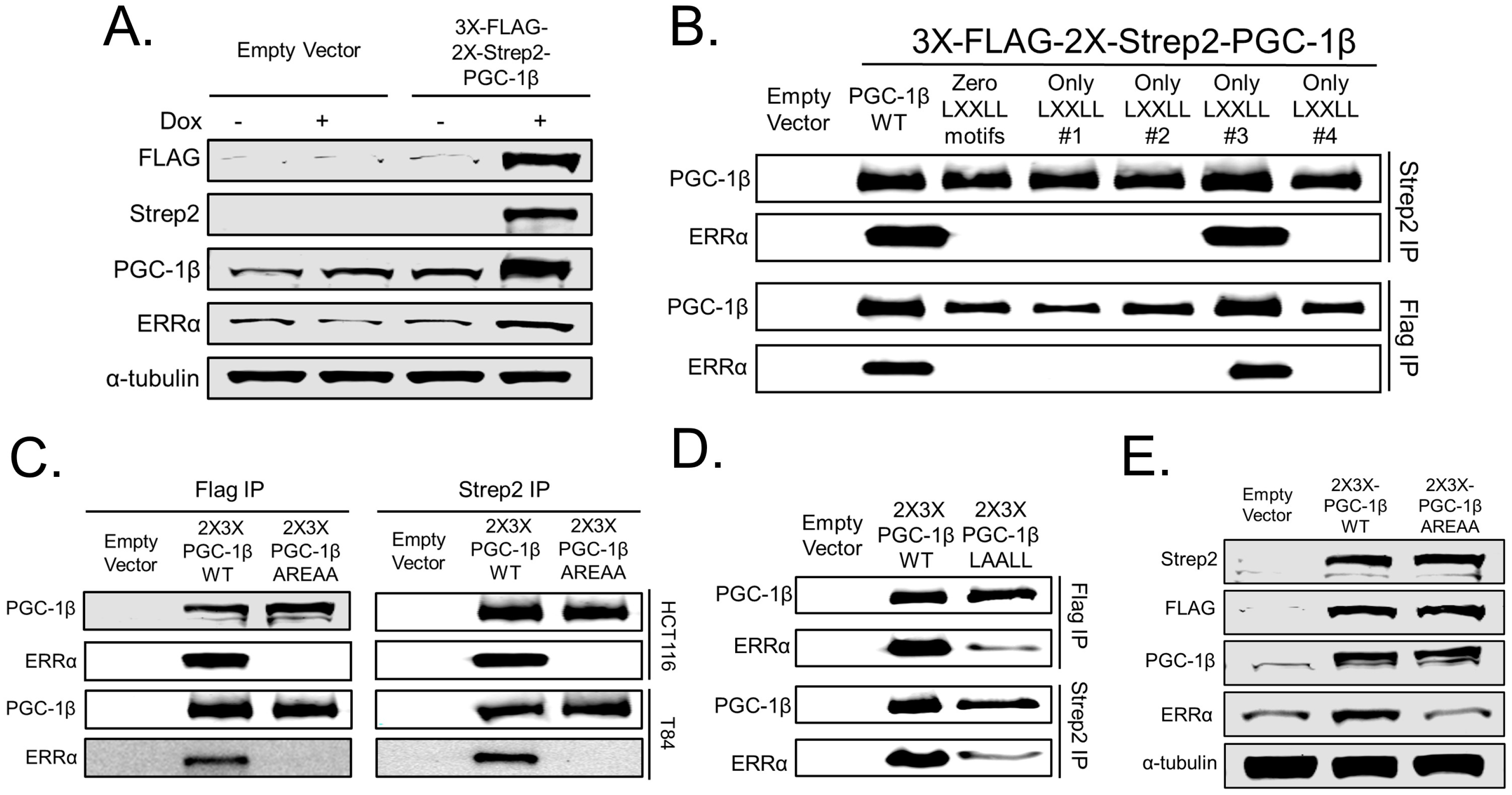 Cancers 14 04879 g002