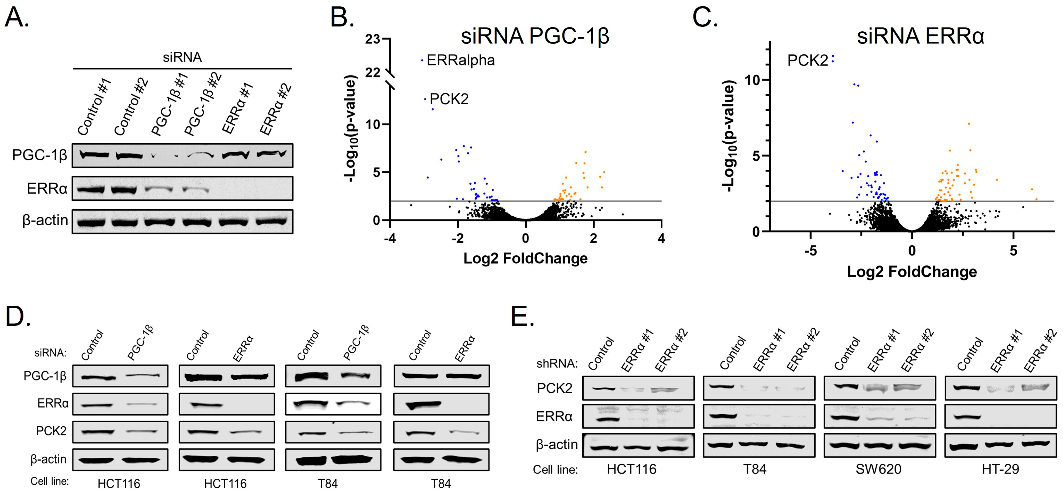 Cancers 14 04879 g003