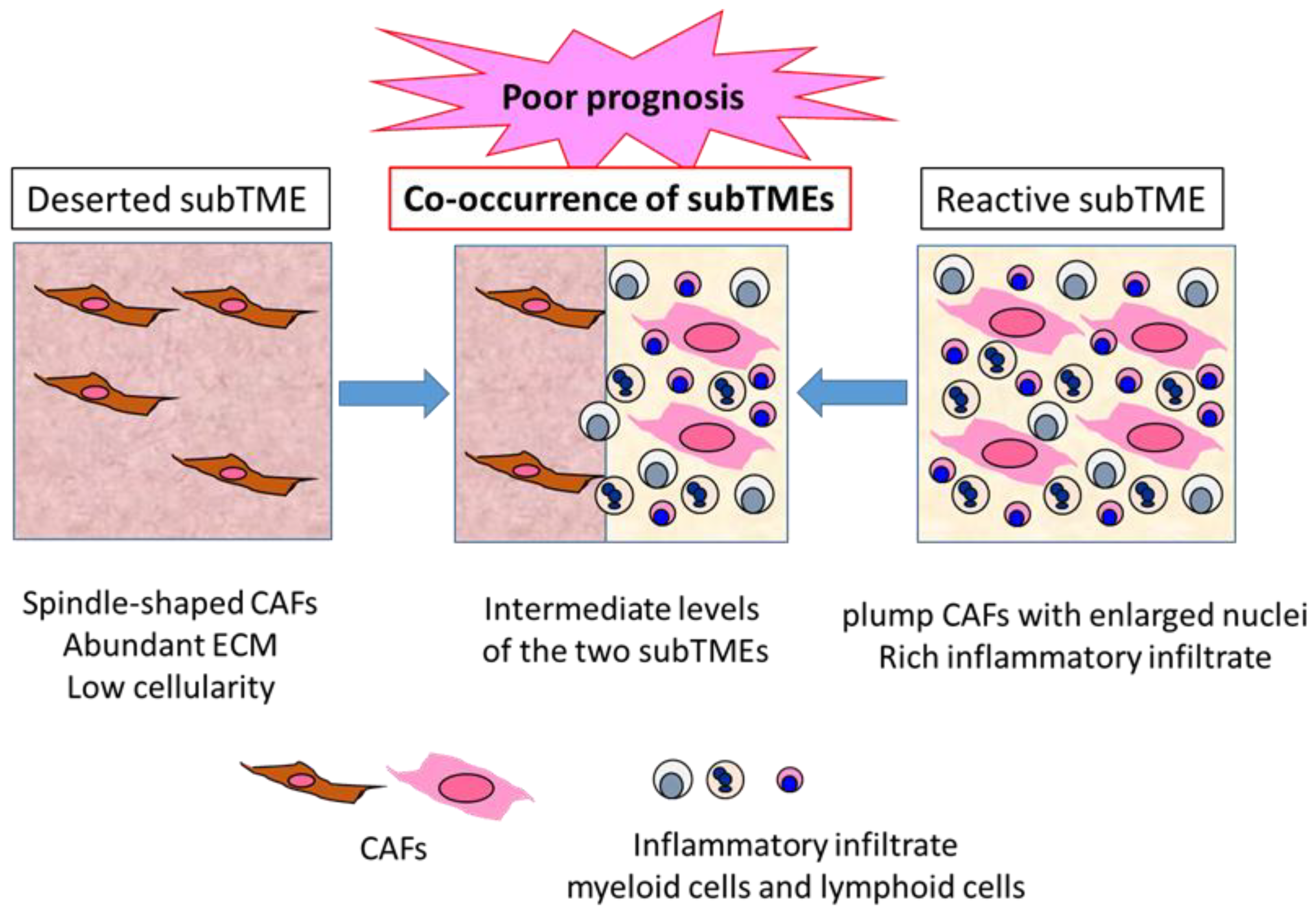 Cancers 14 04880 g002