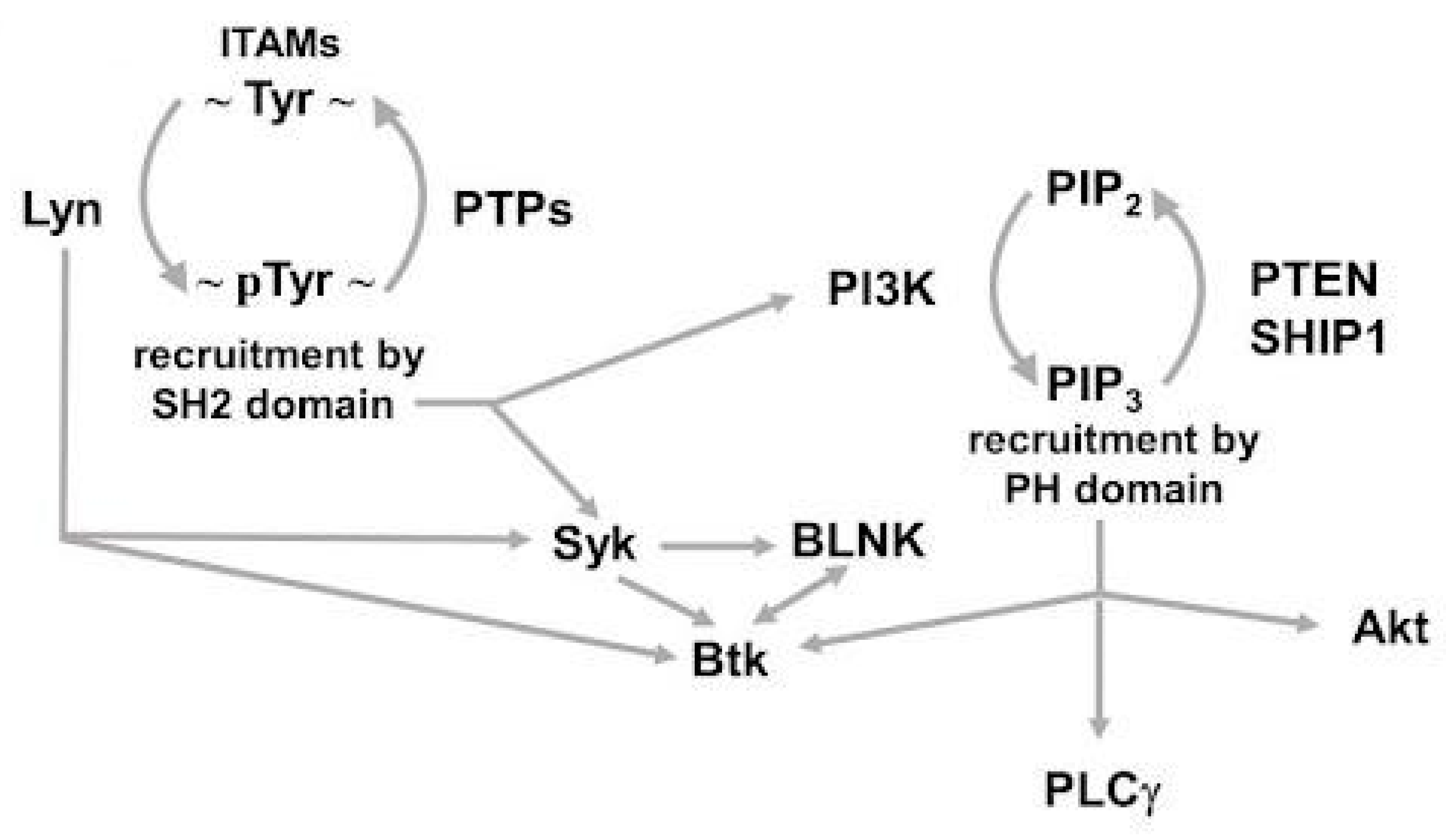 Cancers 14 04881 g001