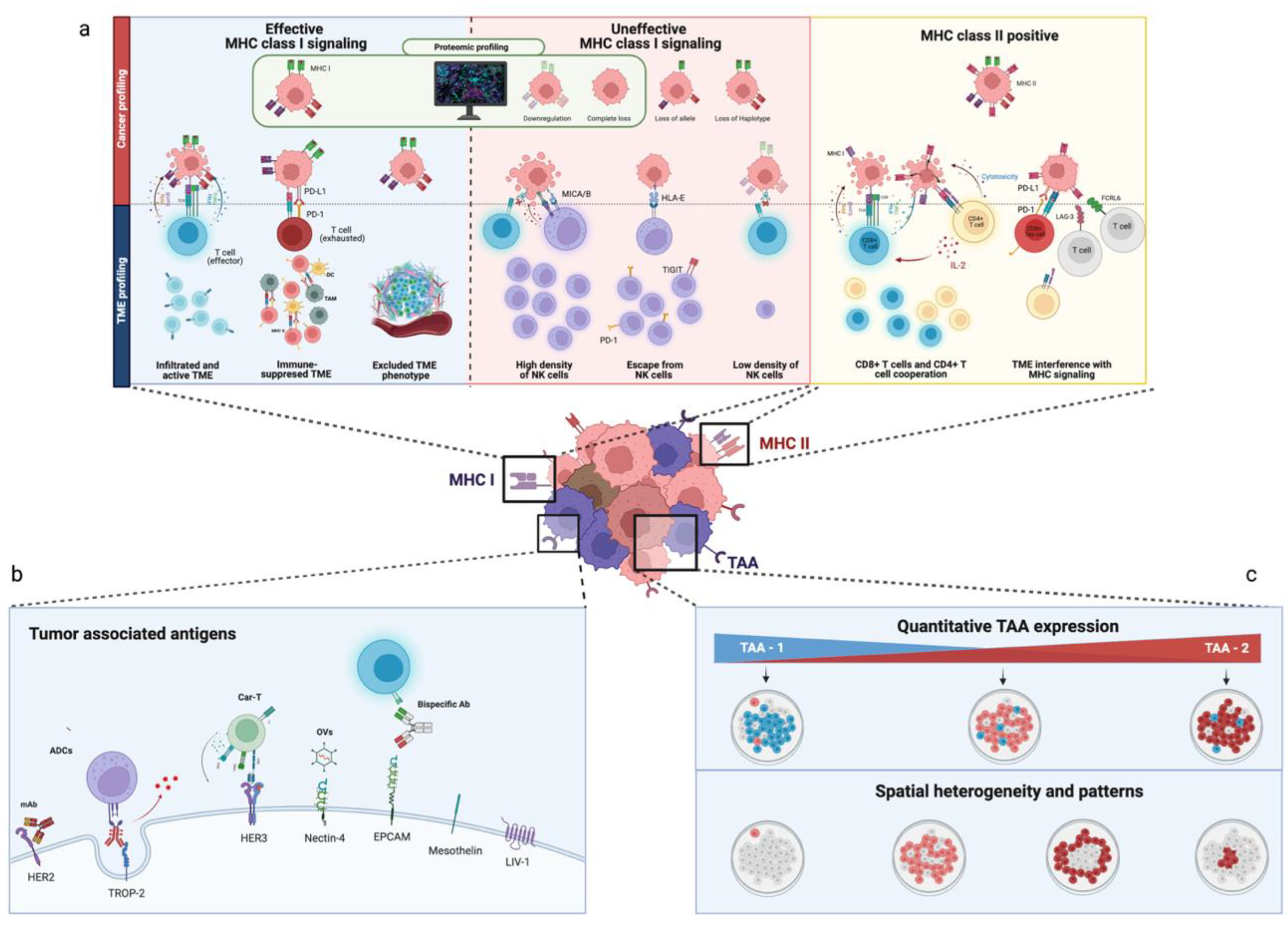 Cancers 14 04885 g001