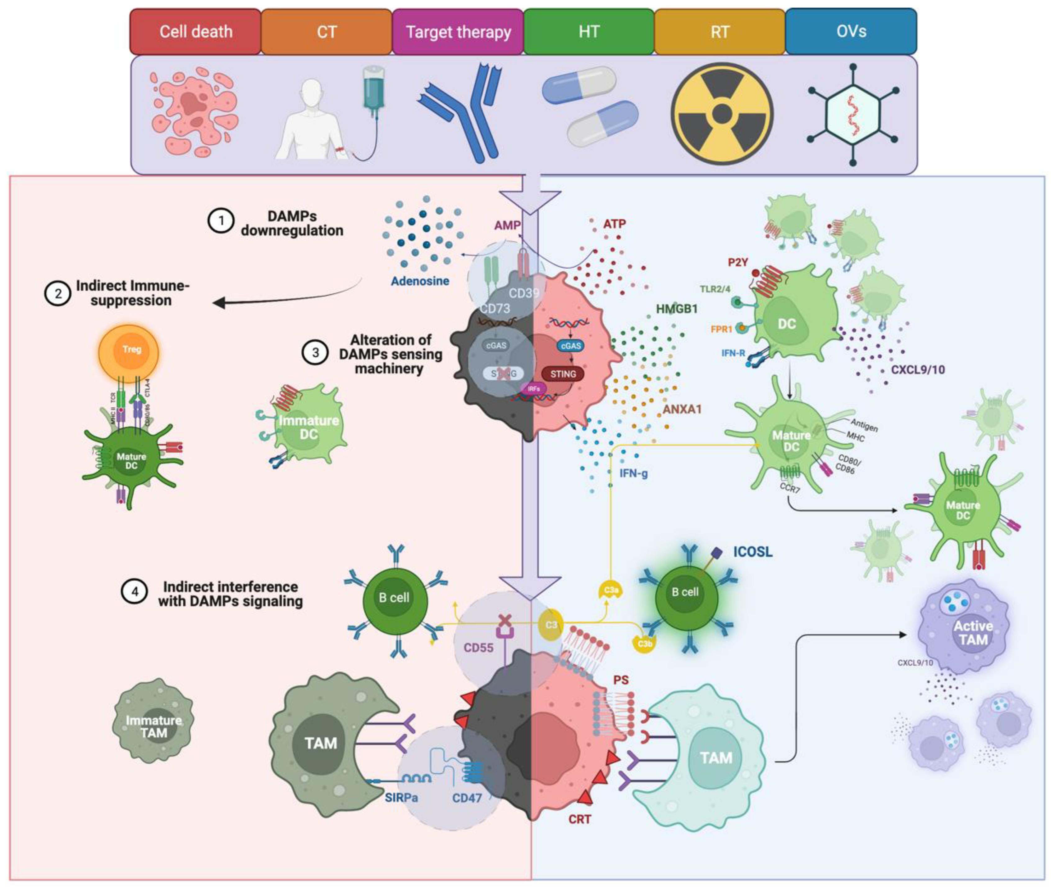 Cancers 14 04885 g002