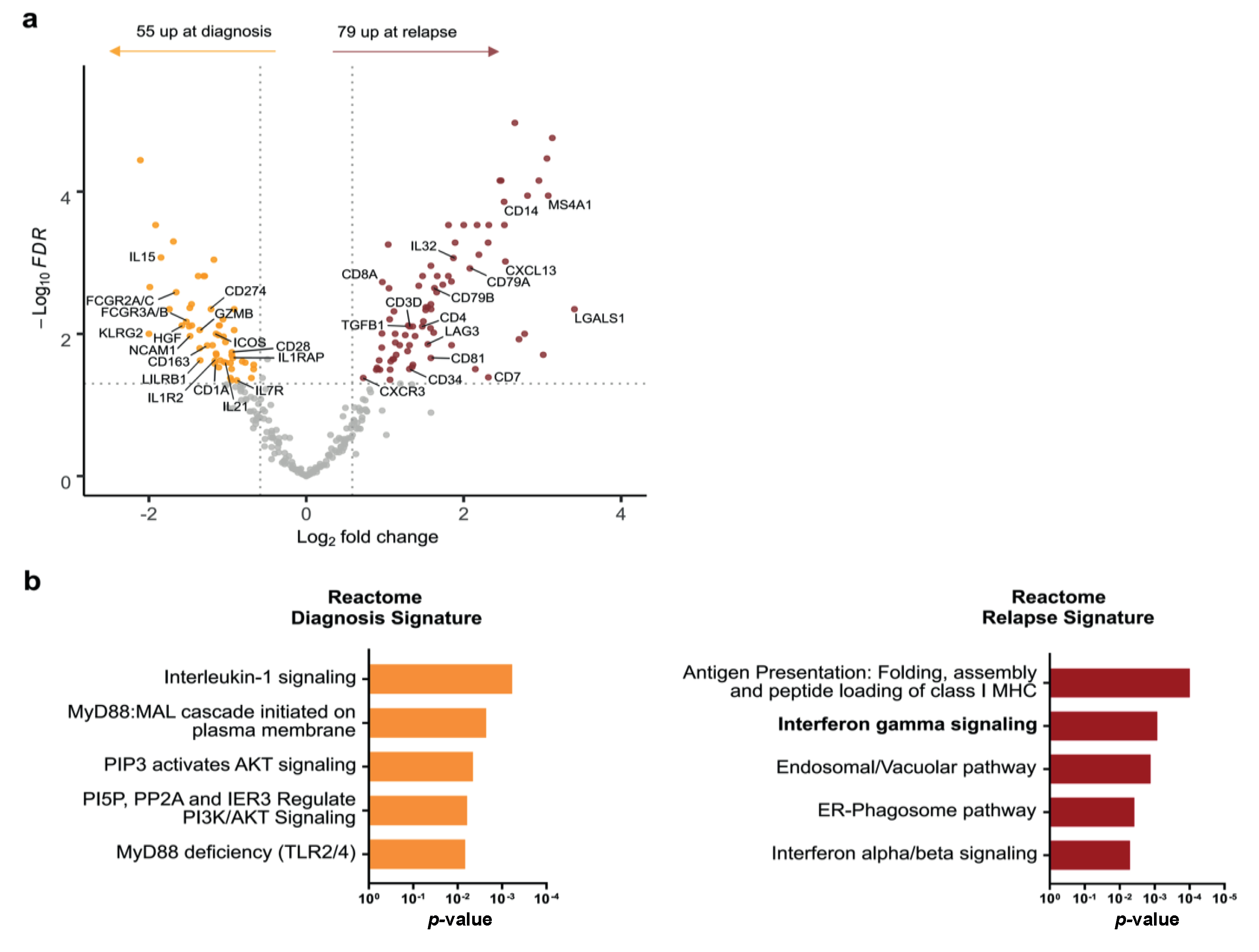 Cancers 14 04893 g003