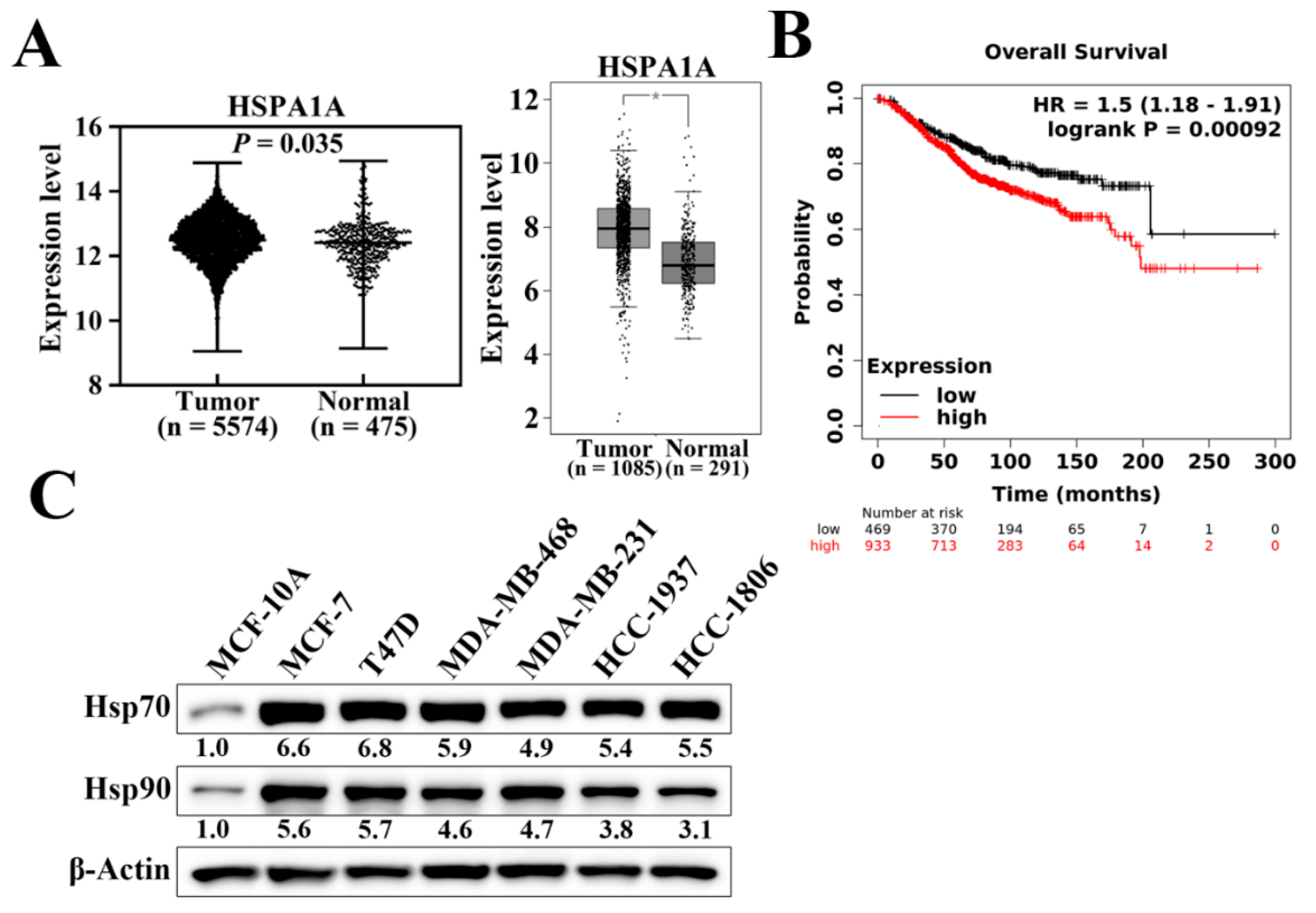 Cancers 14 04898 g001