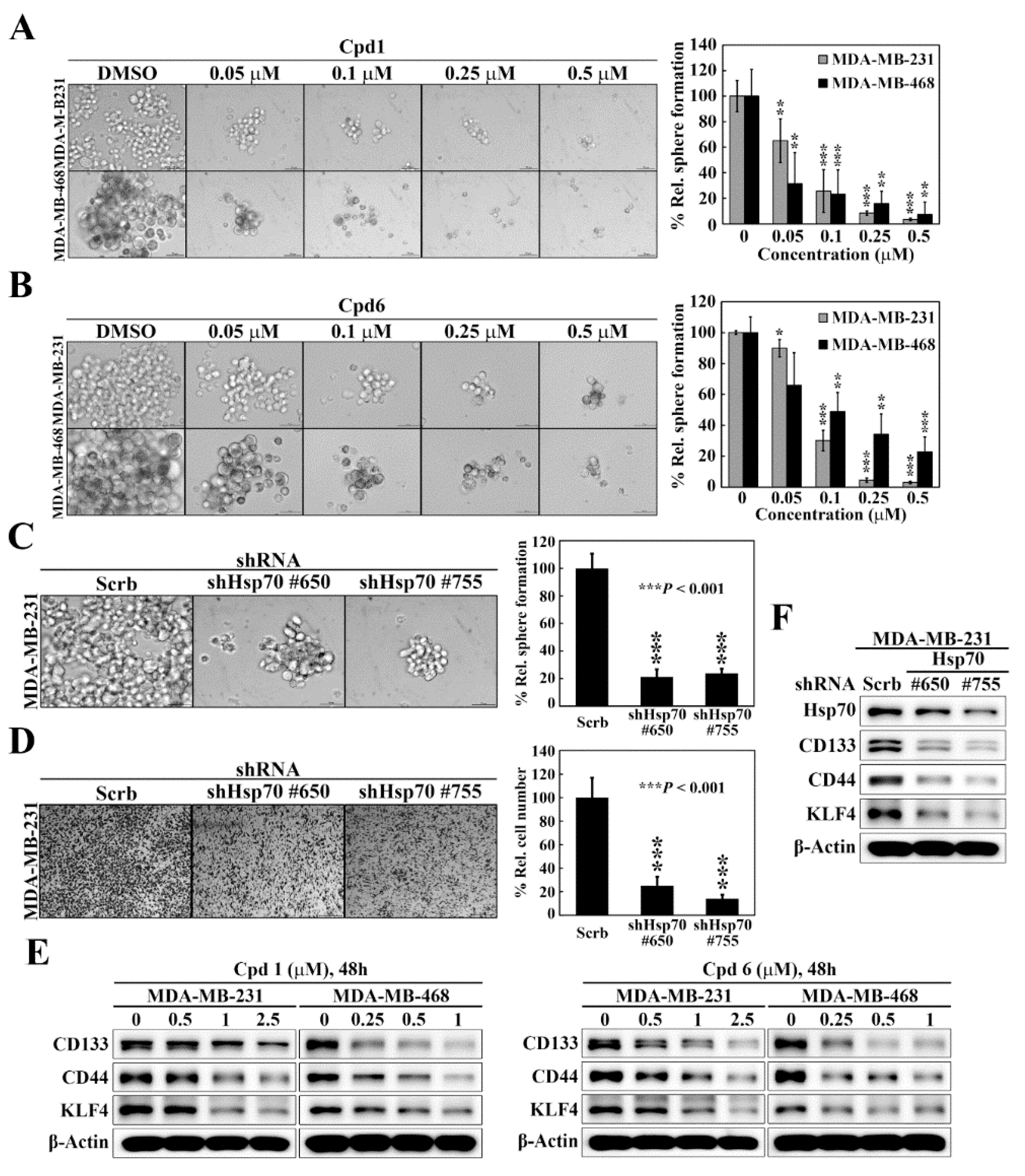 Cancers 14 04898 g004