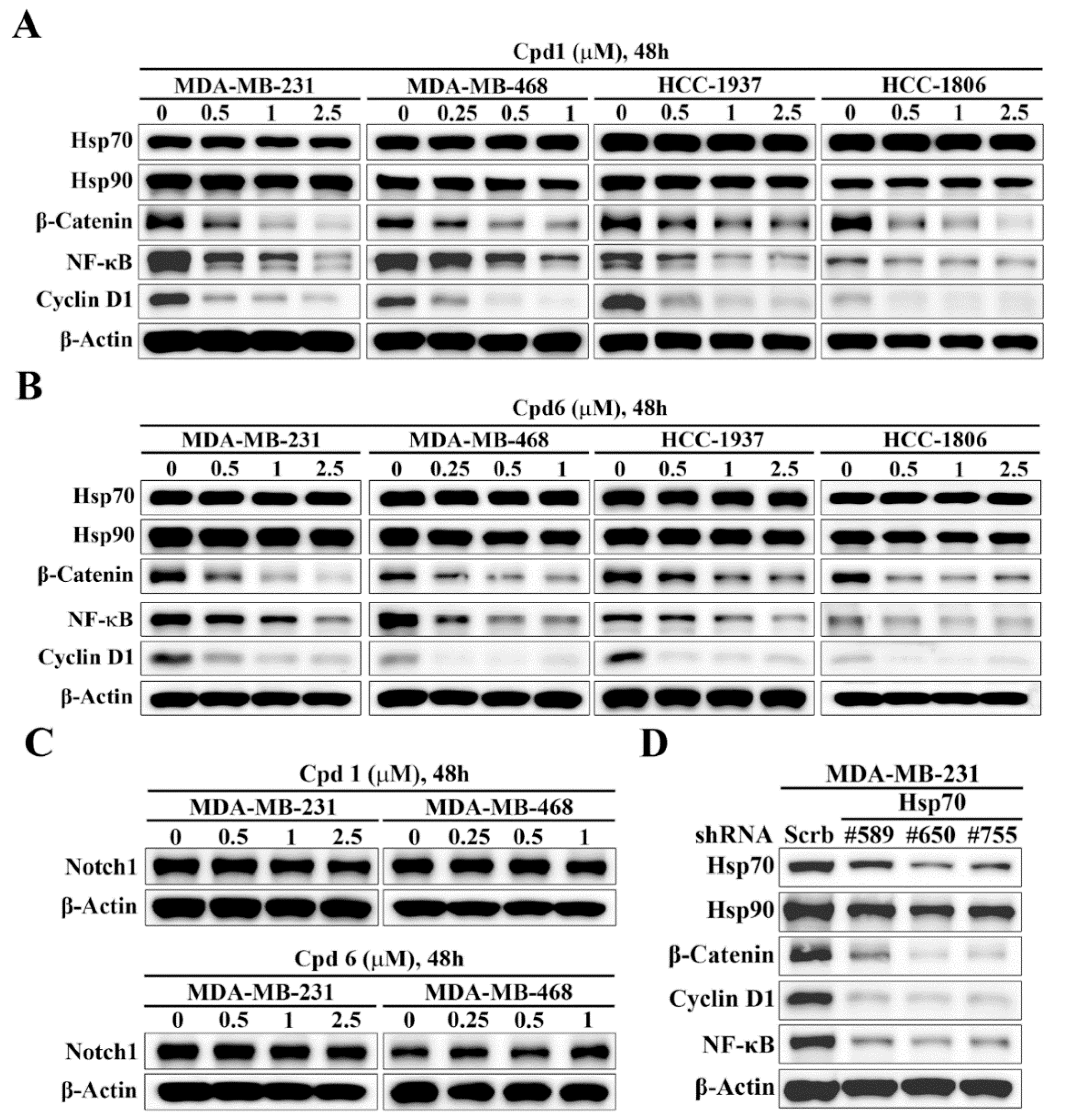 Cancers 14 04898 g005