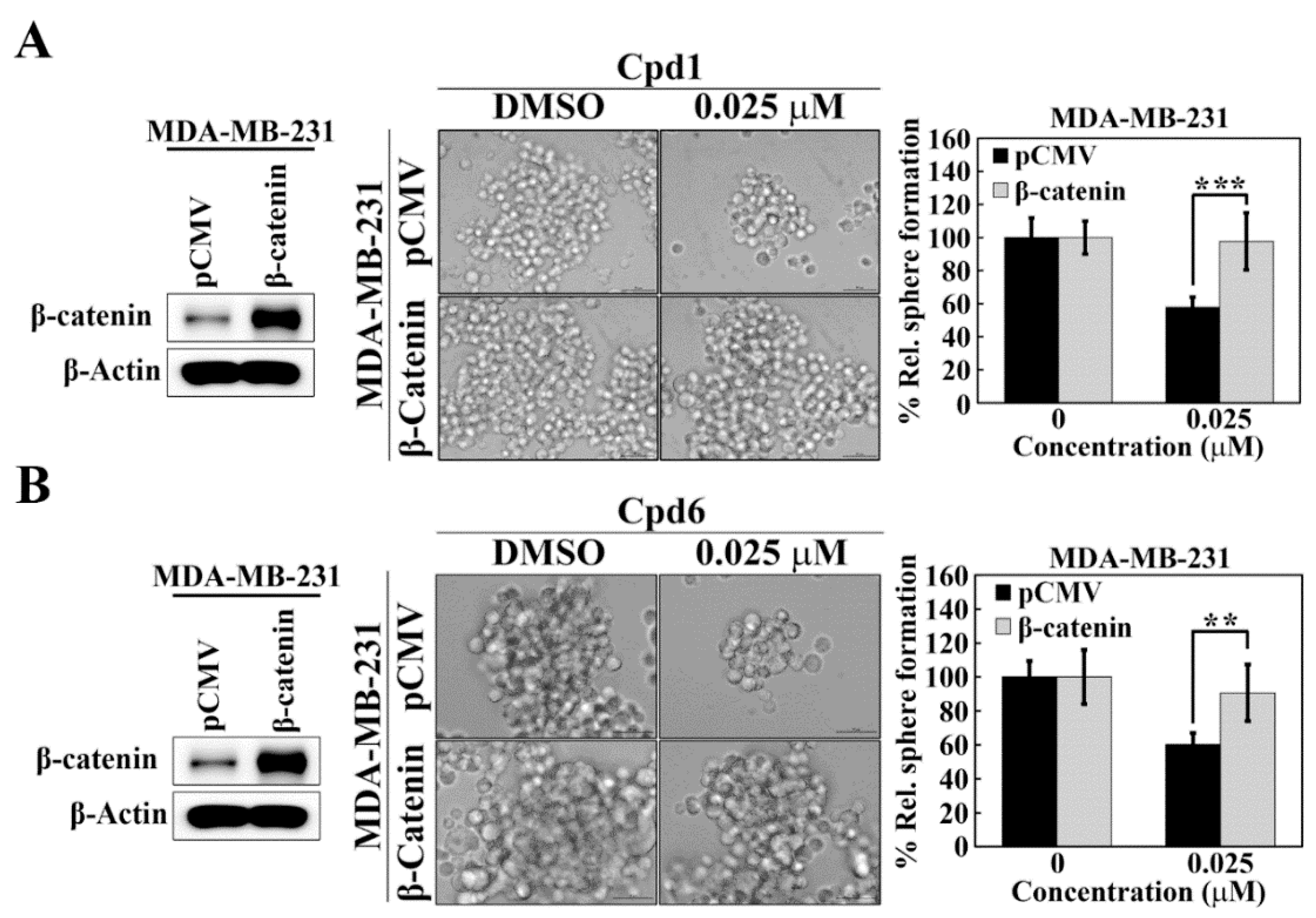 Cancers 14 04898 g006