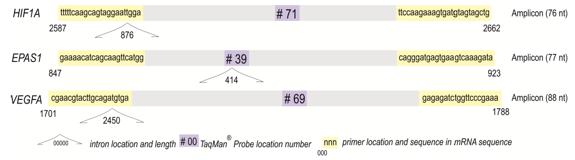 Cancers 14 04899 g002