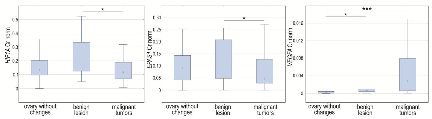 Cancers 14 04899 g004