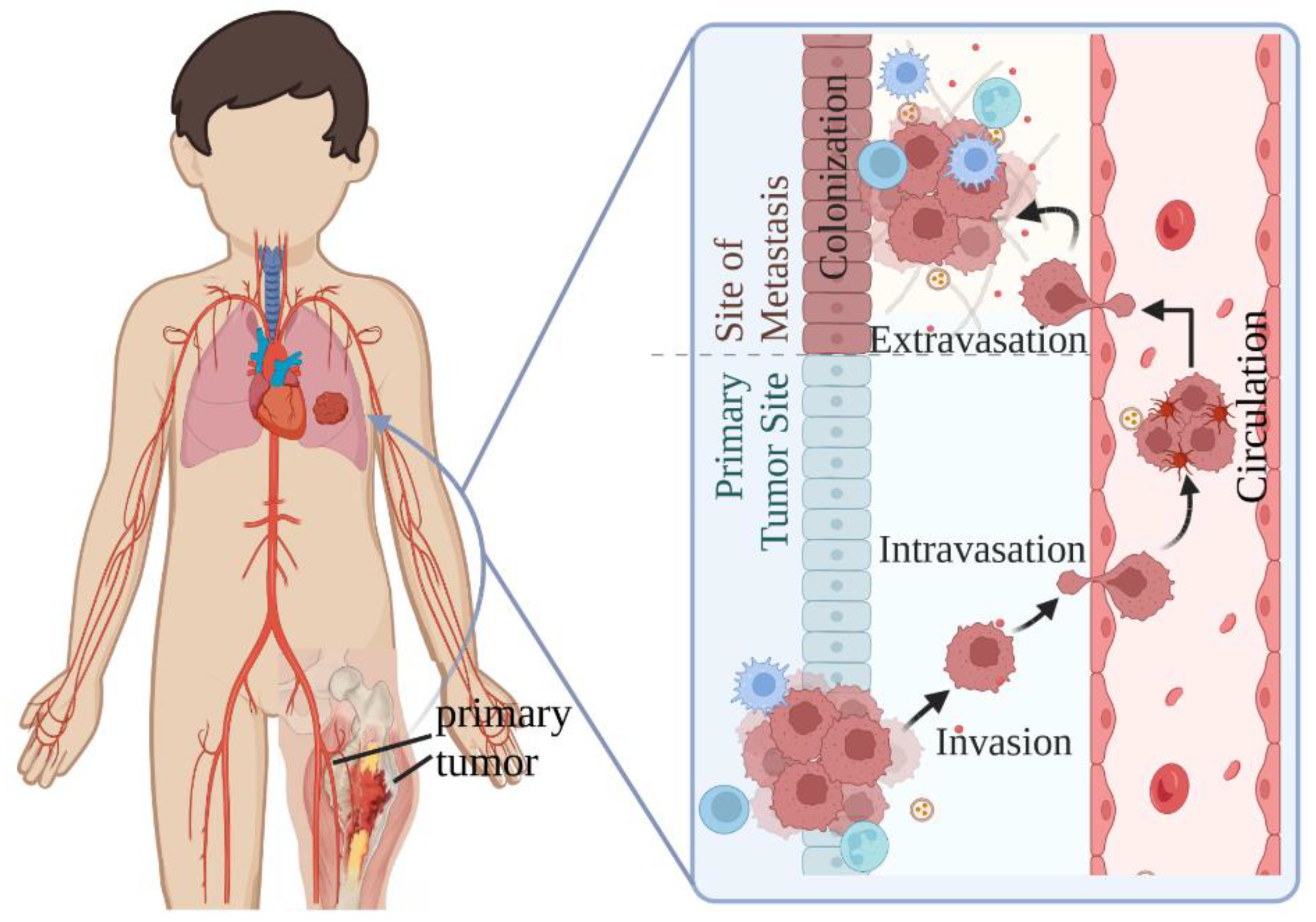 Cancers 14 04902 g001