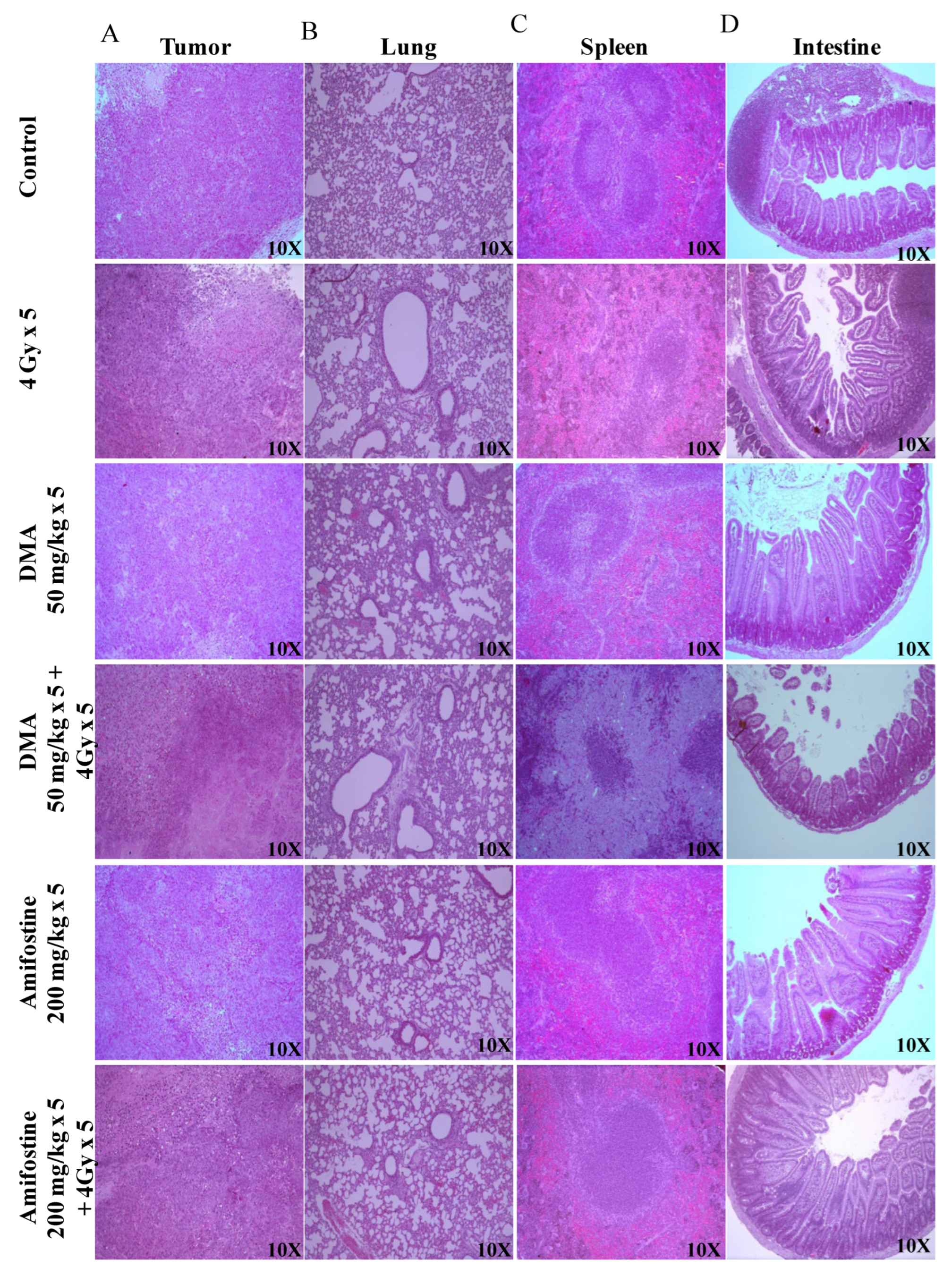 Cancers 14 04908 g004