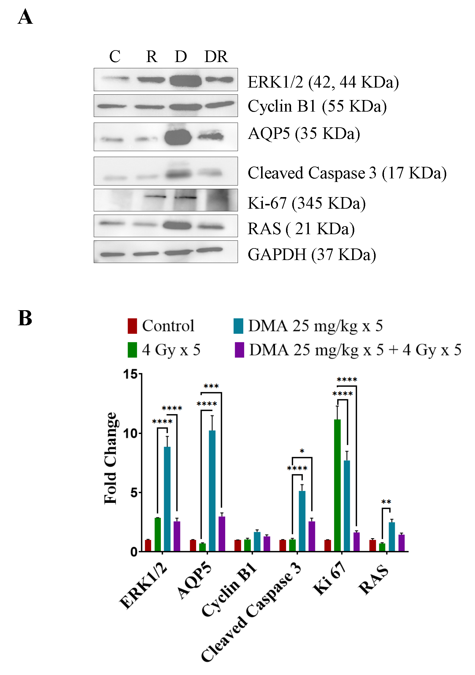 Cancers 14 04908 g007
